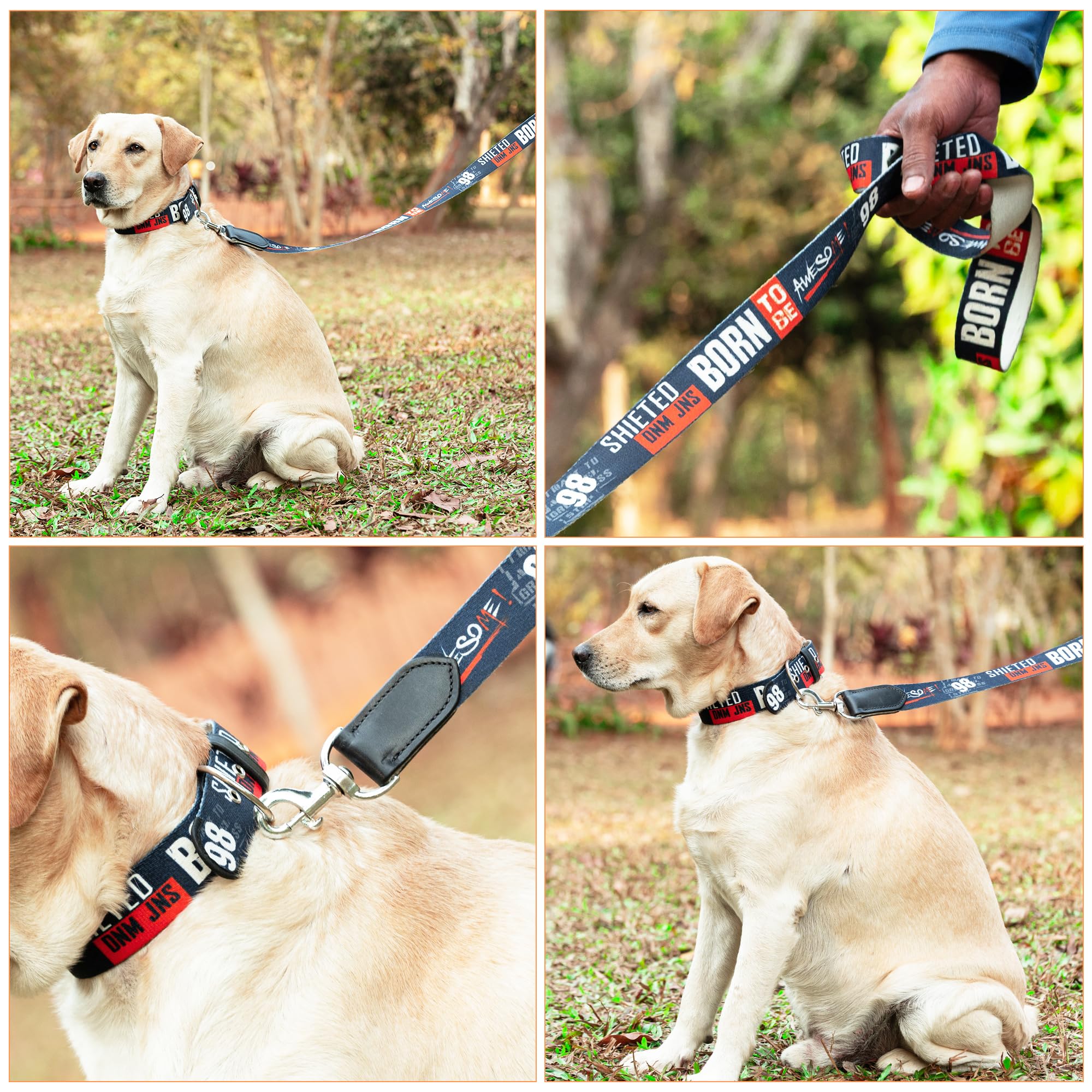 ADIL's Handcrafted Cotton Dog Leash – Premium Graffiti Printed Webbing Pet Walking Lead with Soft Loop Handle 360° Chrome Swivel Hook Strong Metallic D-Ring for Small Medium Large Dogs, 5ft