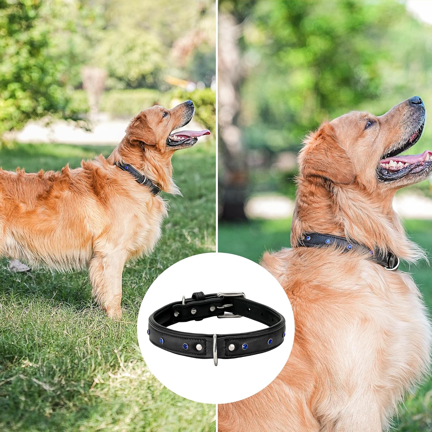 Adil'S Studded Softy Leather Dog Collar 1inch Width Suitable for Small, Medium & Large Dogs with Strong Metal Buckle & D-Ring for leashes