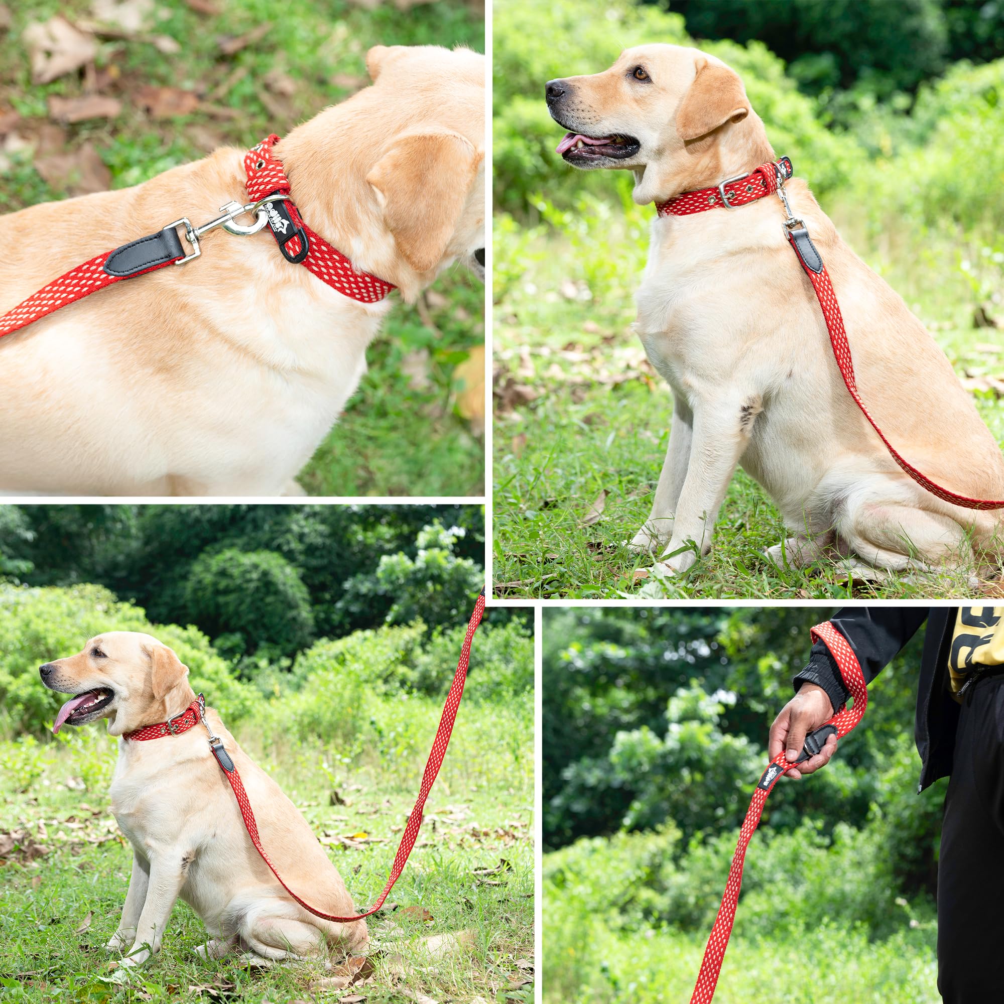 Adil’s 5ft Cotton Dotted Dog Leash with Leather Grip & 360° Swivel Hook – Durable, Comfy & Tangle-Free for All Dog Sizes