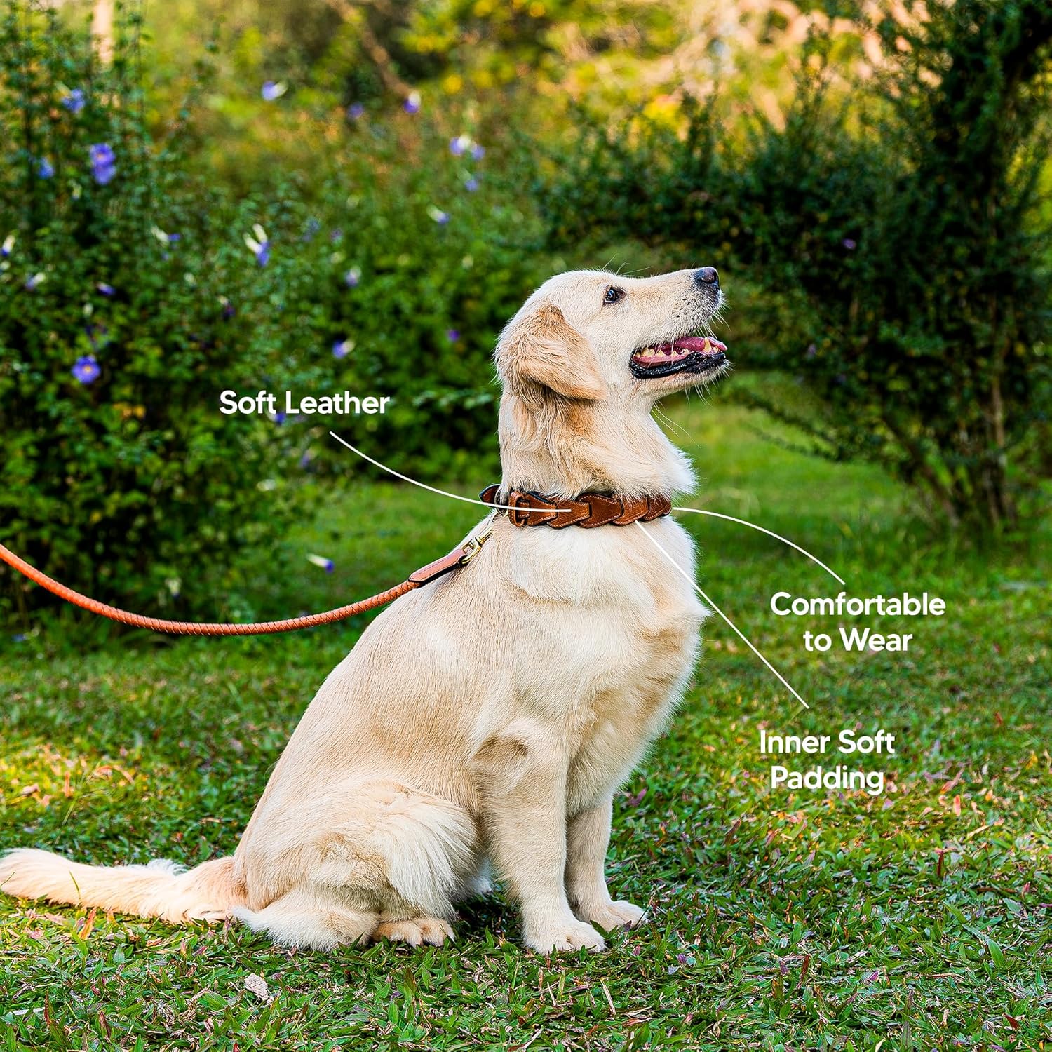 Adil’S Genuine Leather Loop Dog Collar – Handmade, Heavy-Duty, Soft Padded & Adjustable – Durable Braided Leather Collar Dogs