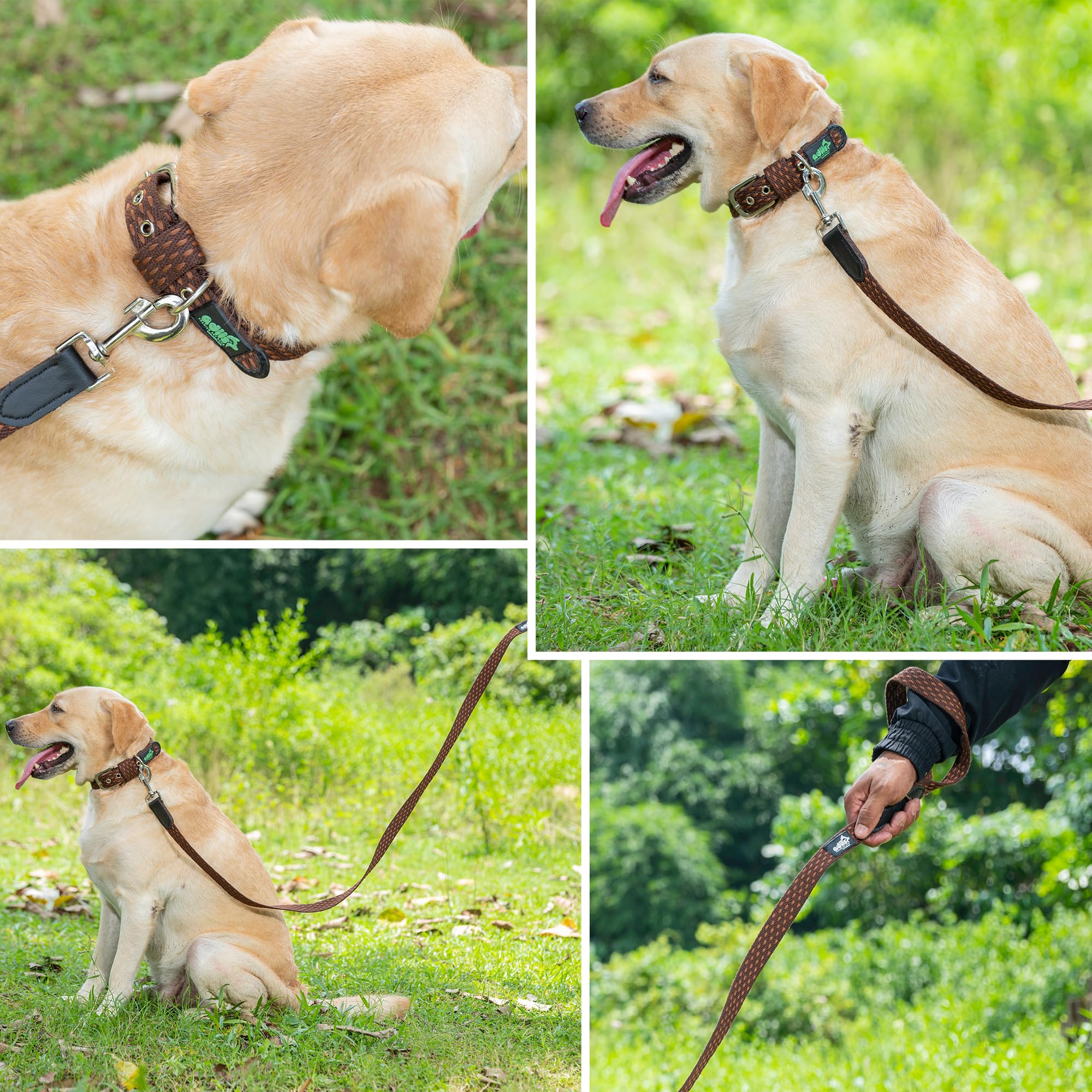 Adil’s 5ft Cotton Dotted Dog Leash with Leather Grip & 360° Swivel Hook – Durable, Comfy & Tangle-Free for All Dog Sizes