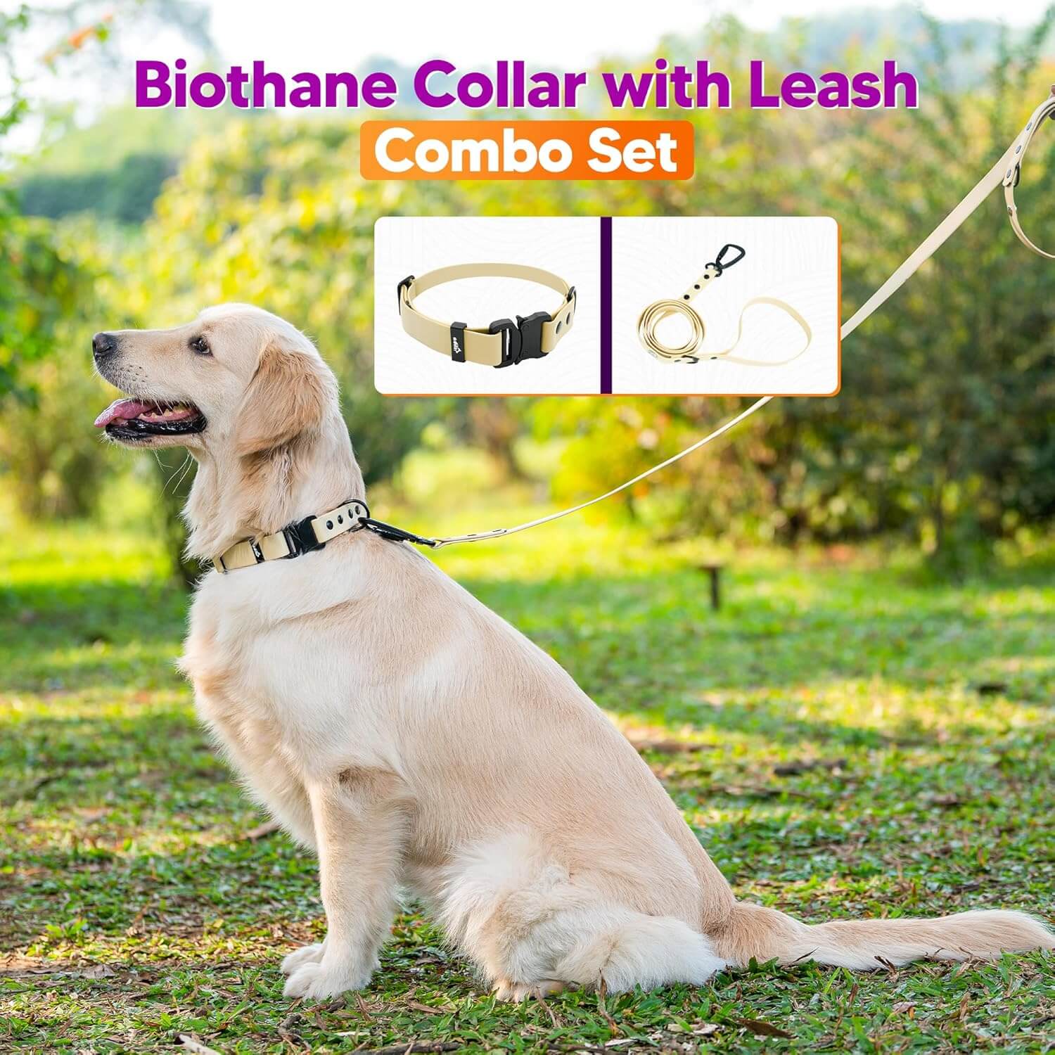 Biothane Combo Dog Collar & Leash