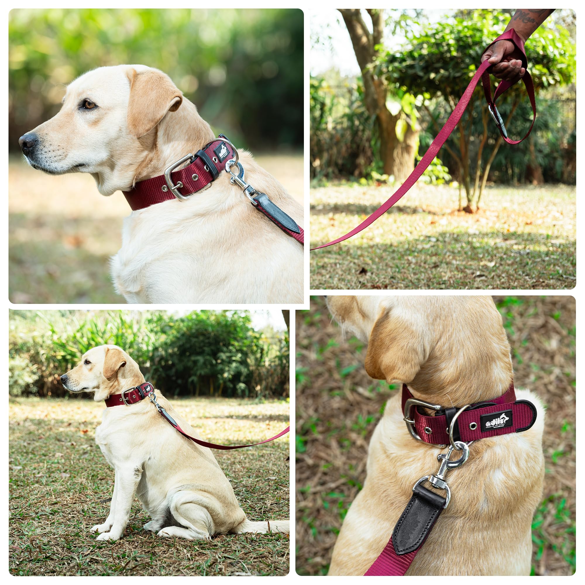 ADIL's Nylon Dog Leash, Heavy Duty Walking Lead with 360° Swivel Metal Hook 1.5 Inch Wide Durable Training Cord with Comfortable Loop Handle for Medium Large Dogs