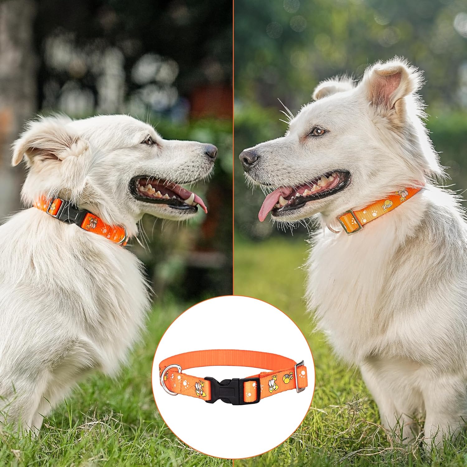 Adil’S Nylon Paw Print Dog Collar with Adjustable Quick Release Buckle & D-Ring for Leashes, 0.75in Width, Suitable for Small to Large Dogs, Size: XS, Green