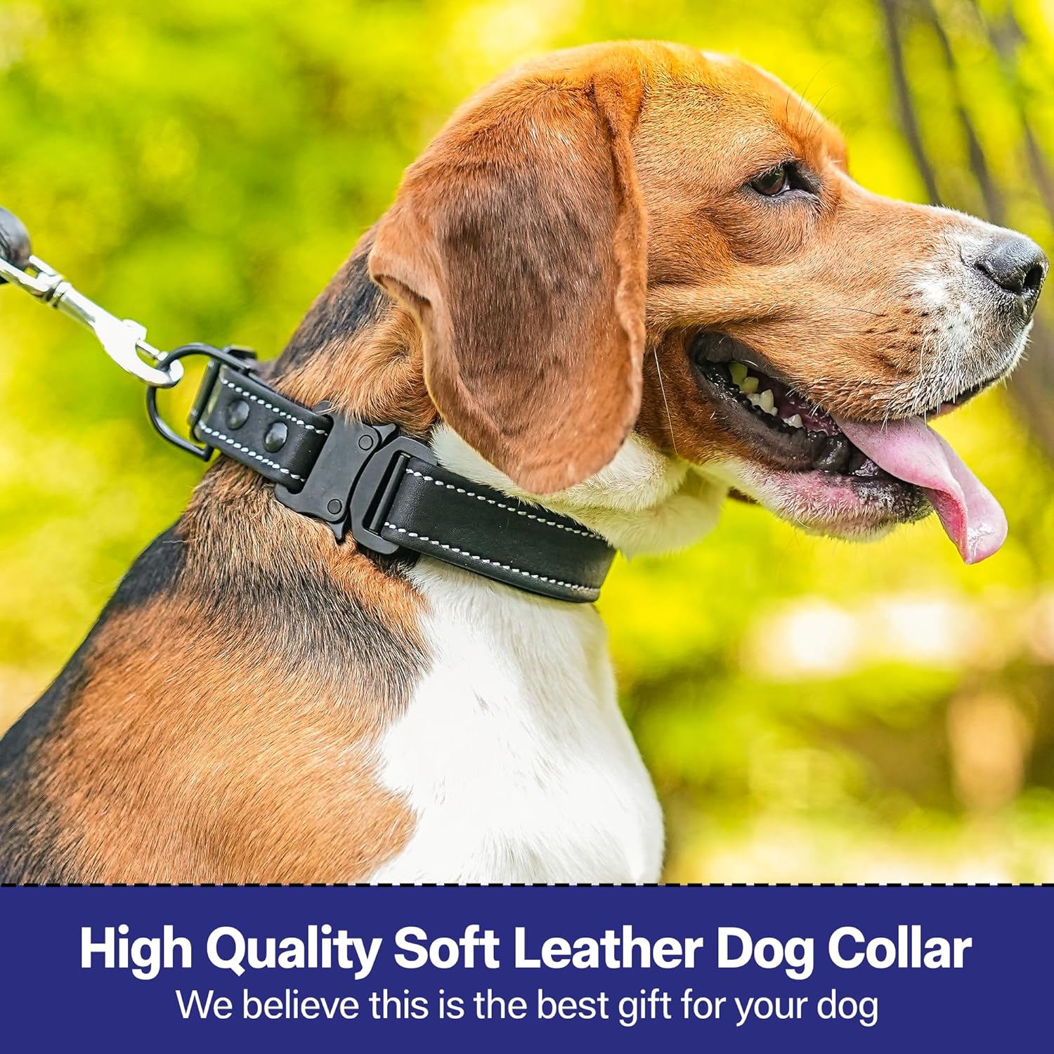 Adil’S Softy Leather Dog Collar 1inch, Dog Neck Belt for Medium to Large Pets – Leather Collars for Dog, Neck Adjustable 12-26 Inch