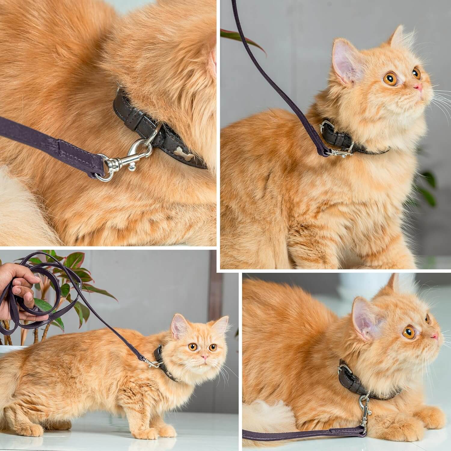 Adil’S Leather Cat Leash – Durable, Stylish & Comfortable Genuine Leather 4ft Long Leash with Secure Trigger Snap Hook for Safe Walks and Outdoor Adventures