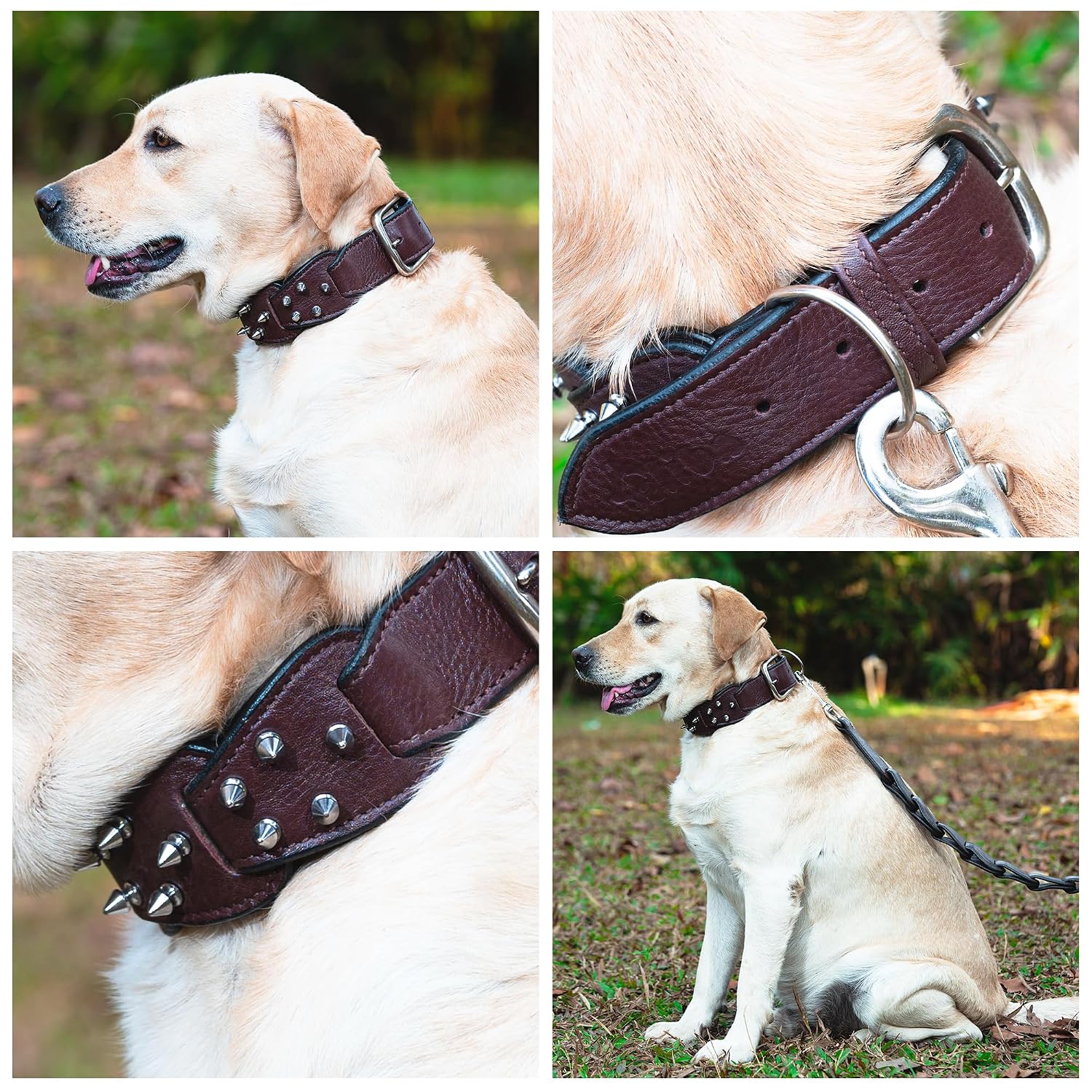 Adil's Personalized Softy Premium Leather Spiked Dog Collar – 1.5 Inch Wide Loop Design Heavy Duty Soft Padded Neckbelt, Sturdy Stainless Steel Buckle & D-Ring for Small, Medium & Large Pets