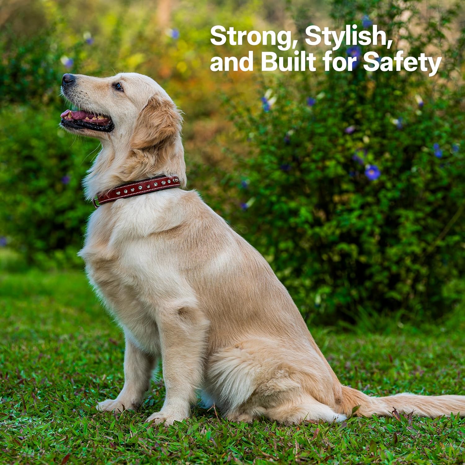 Adil’S Leather Spike Studded Dog Collar – Adjustable Pet Collar for Small, Medium, Large Dogs Durable & Stylish for Pitbulls, Bulldogs, Mastiffs & Guard Dogs