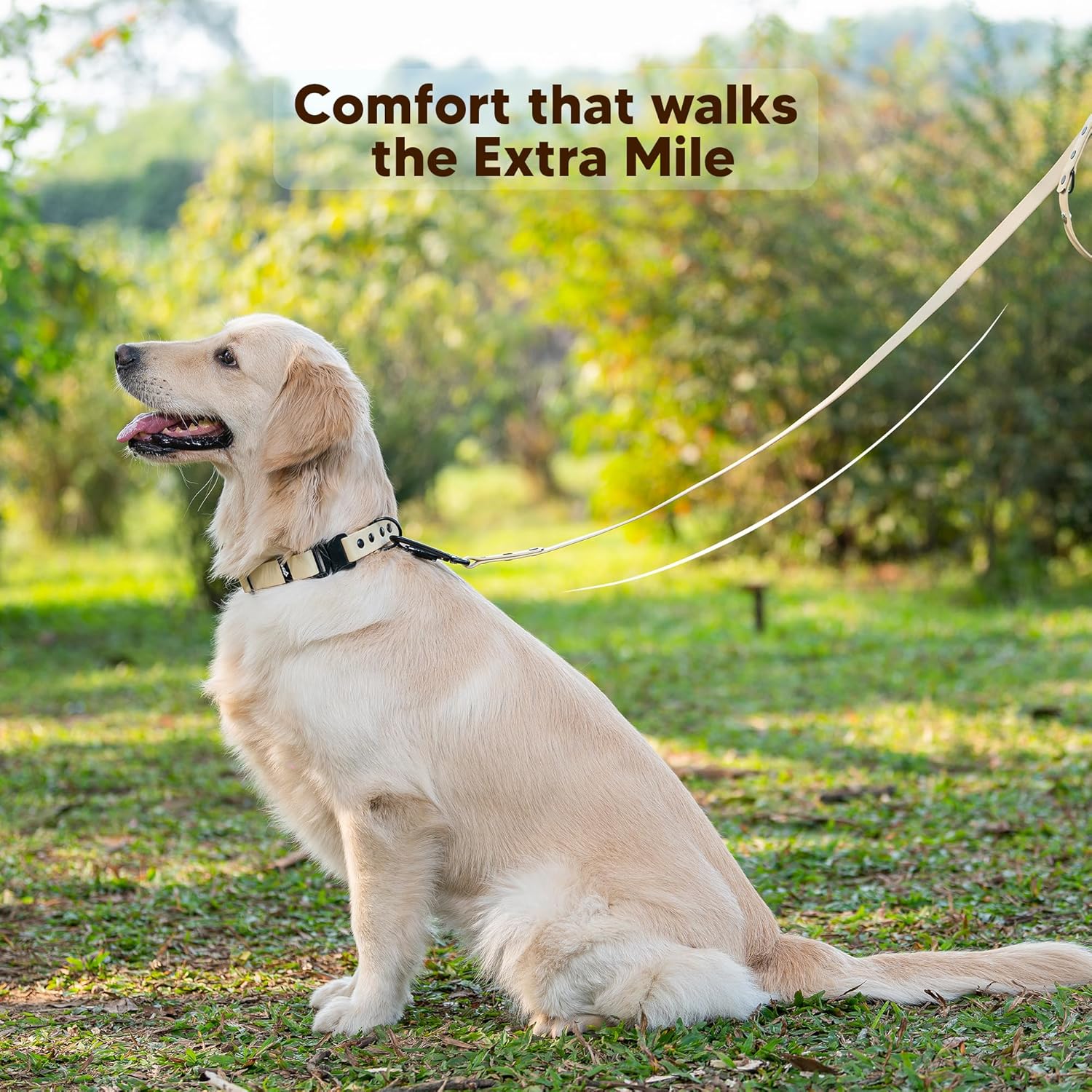 Adil’s Biothane Dog Leash - Waterproof Leashes for Dogs, Metal Hook, Adjustable 5ft Length Suitable for Dogs & Puppies, Ideal for Walking, Running & Training