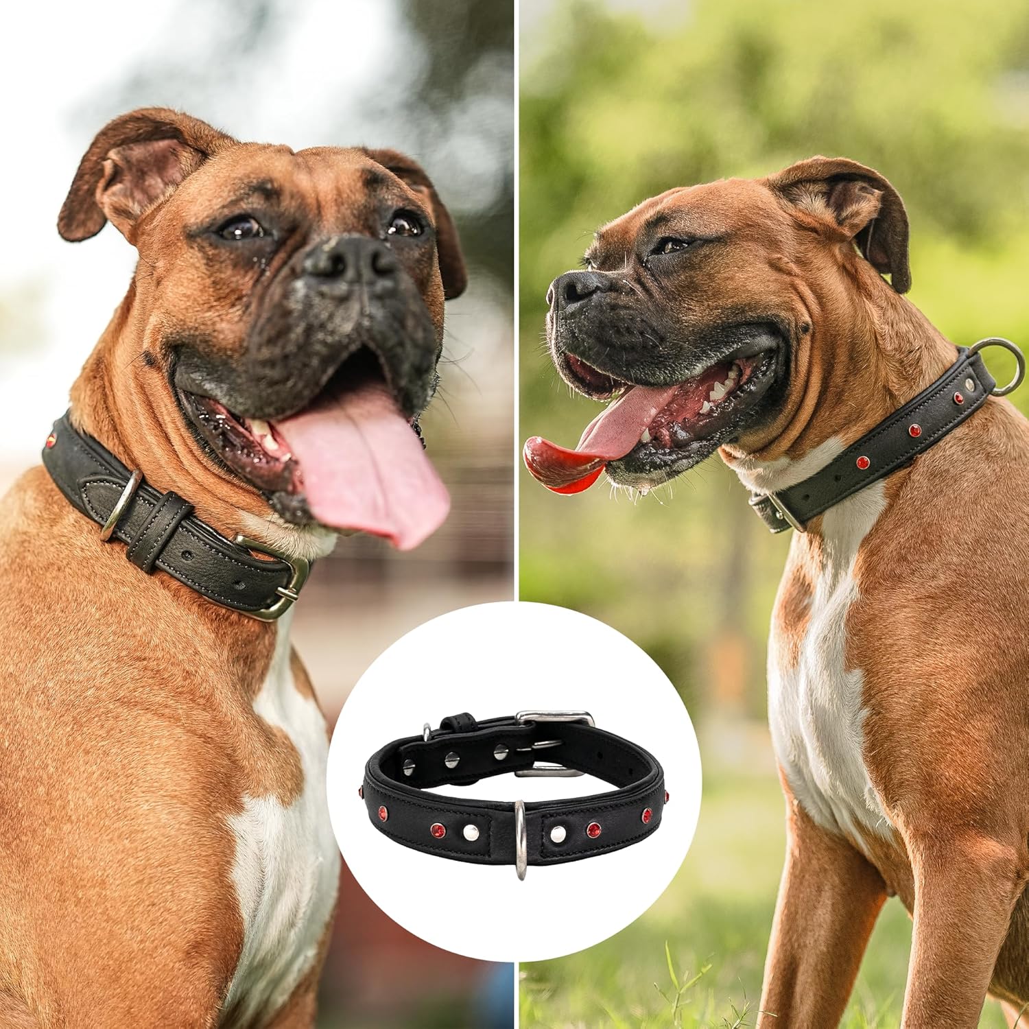 Adil'S Studded Softy Leather Dog Collar 1inch Width Suitable for Small, Medium & Large Dogs with Strong Metal Buckle & D-Ring for leashes