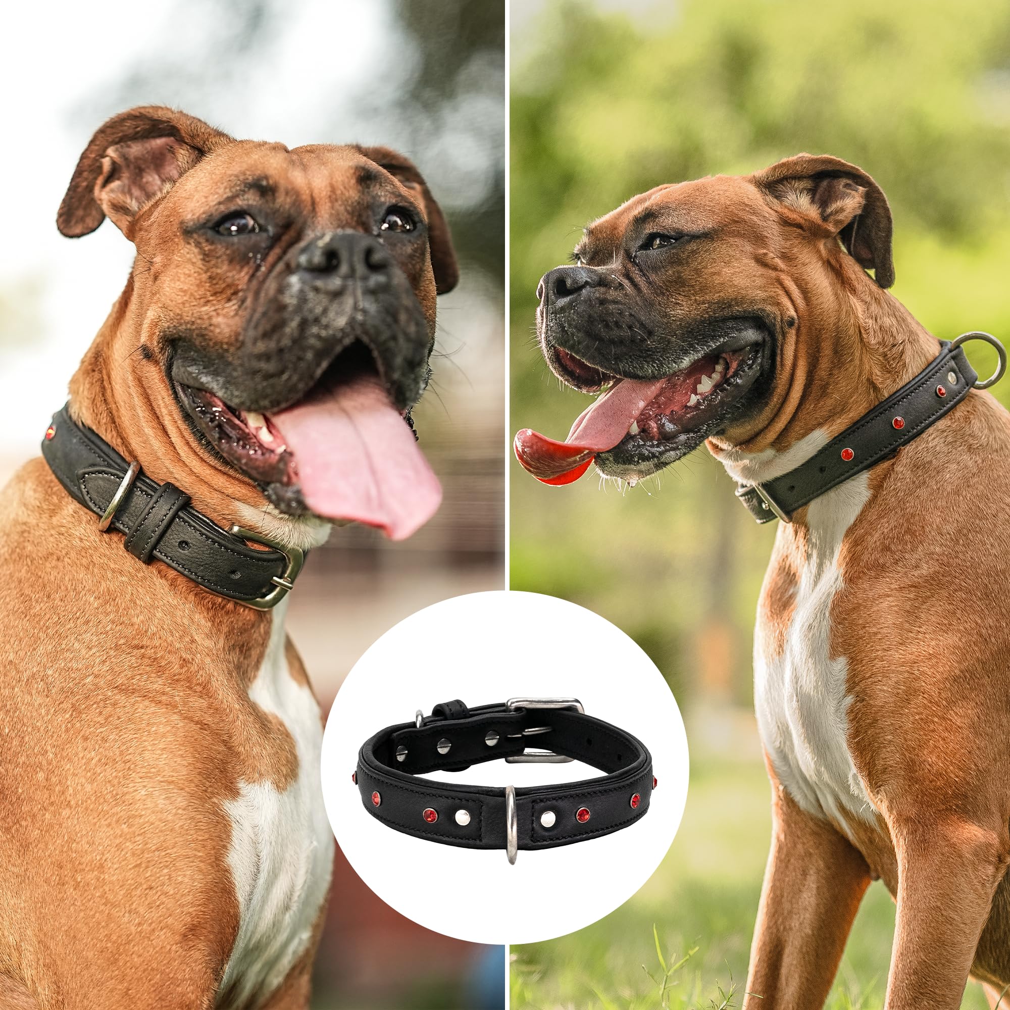 Adil’S Black Studded Softy Leather Dog Collar 1inch Width Suitable for Small, Medium & Large Dogs with Strong Metal Buckle & D-Ring for leashes, Size: S to XL, Brown (S, Black Stud)