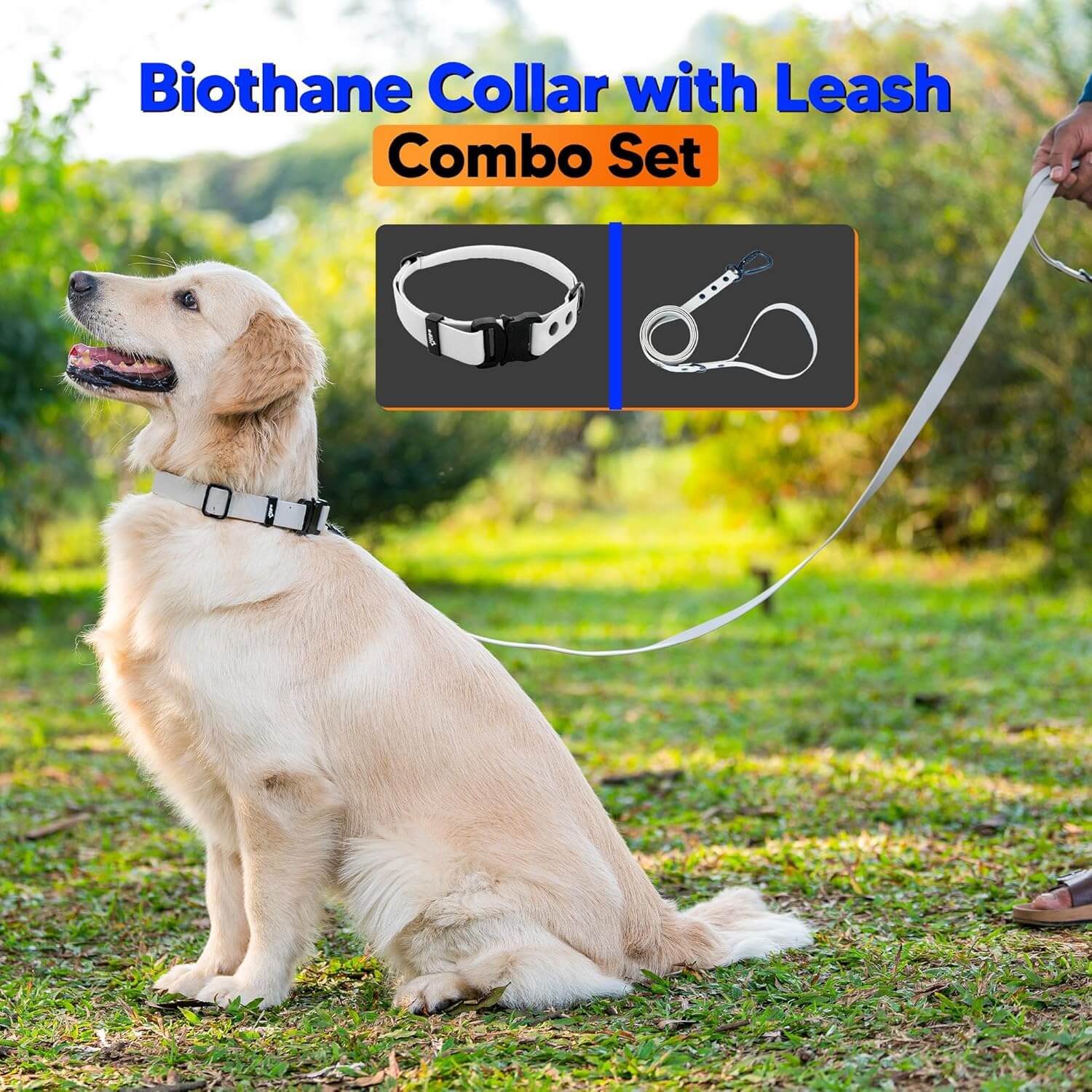 Biothane Combo Dog Collar & Leash