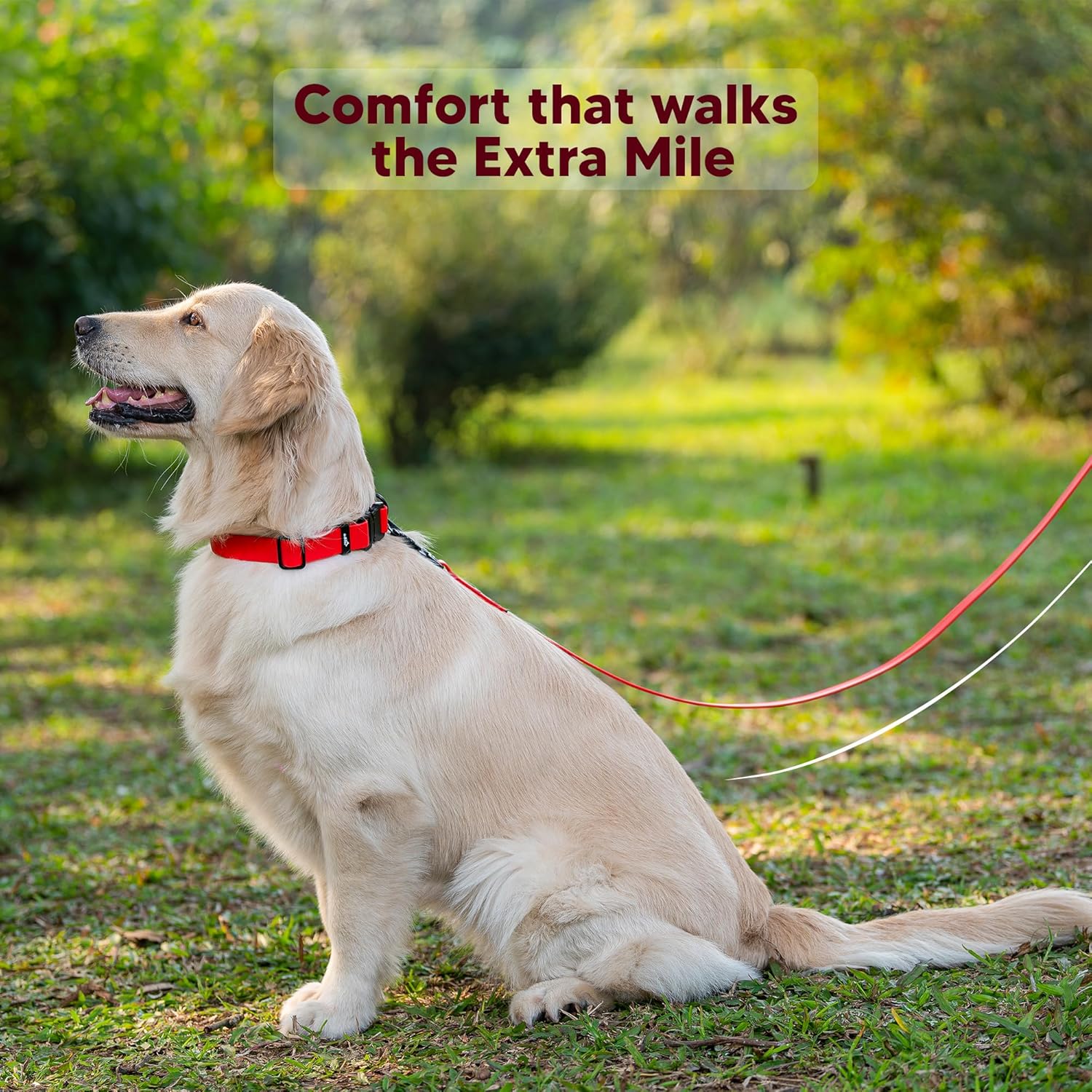 Adil’s Biothane Dog Leash - Waterproof Leashes for Dogs, Metal Hook, Adjustable 5ft Length Suitable for Dogs & Puppies, Ideal for Walking, Running & Training