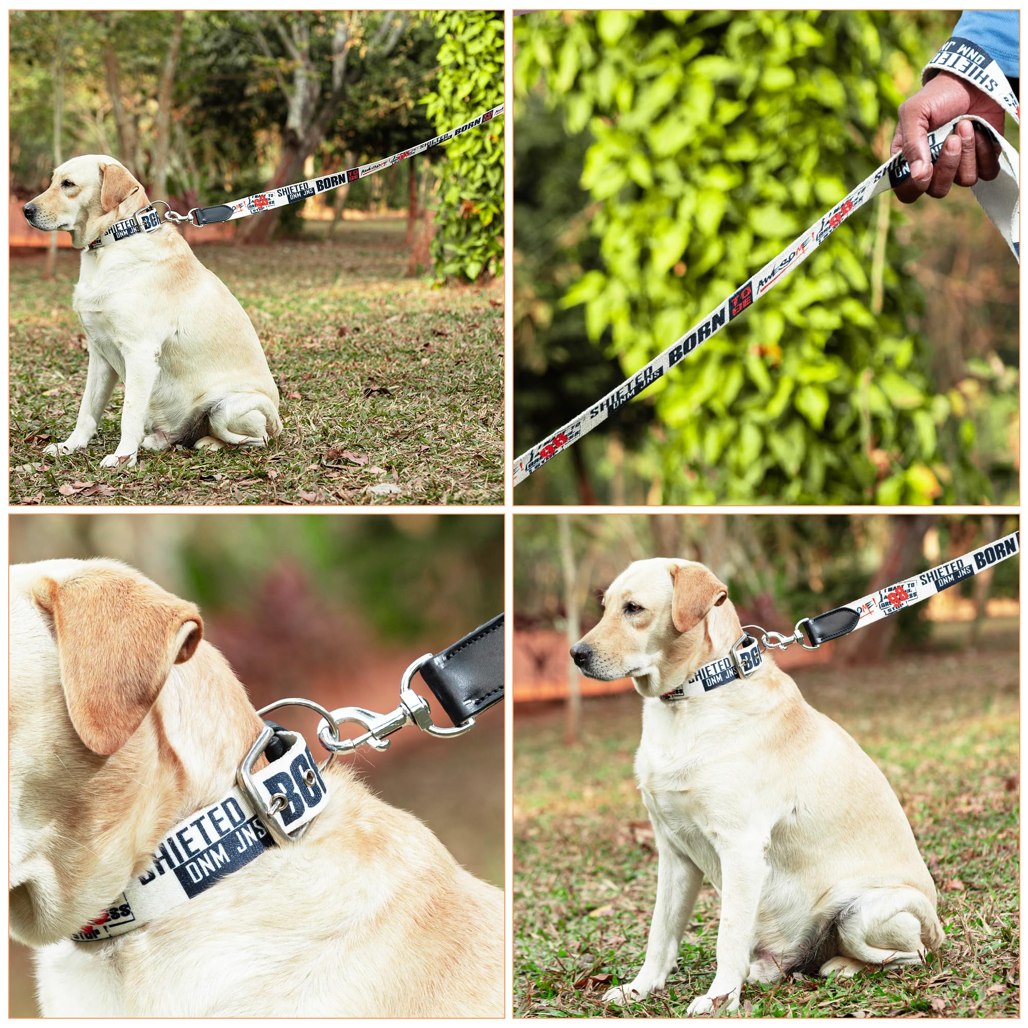 ADIL's Handcrafted Cotton Dog Leash – Premium Graffiti Printed Webbing Pet Walking Lead with Soft Loop Handle 360° Chrome Swivel Hook Strong Metallic D-Ring for Small Medium Large Dogs, 5ft