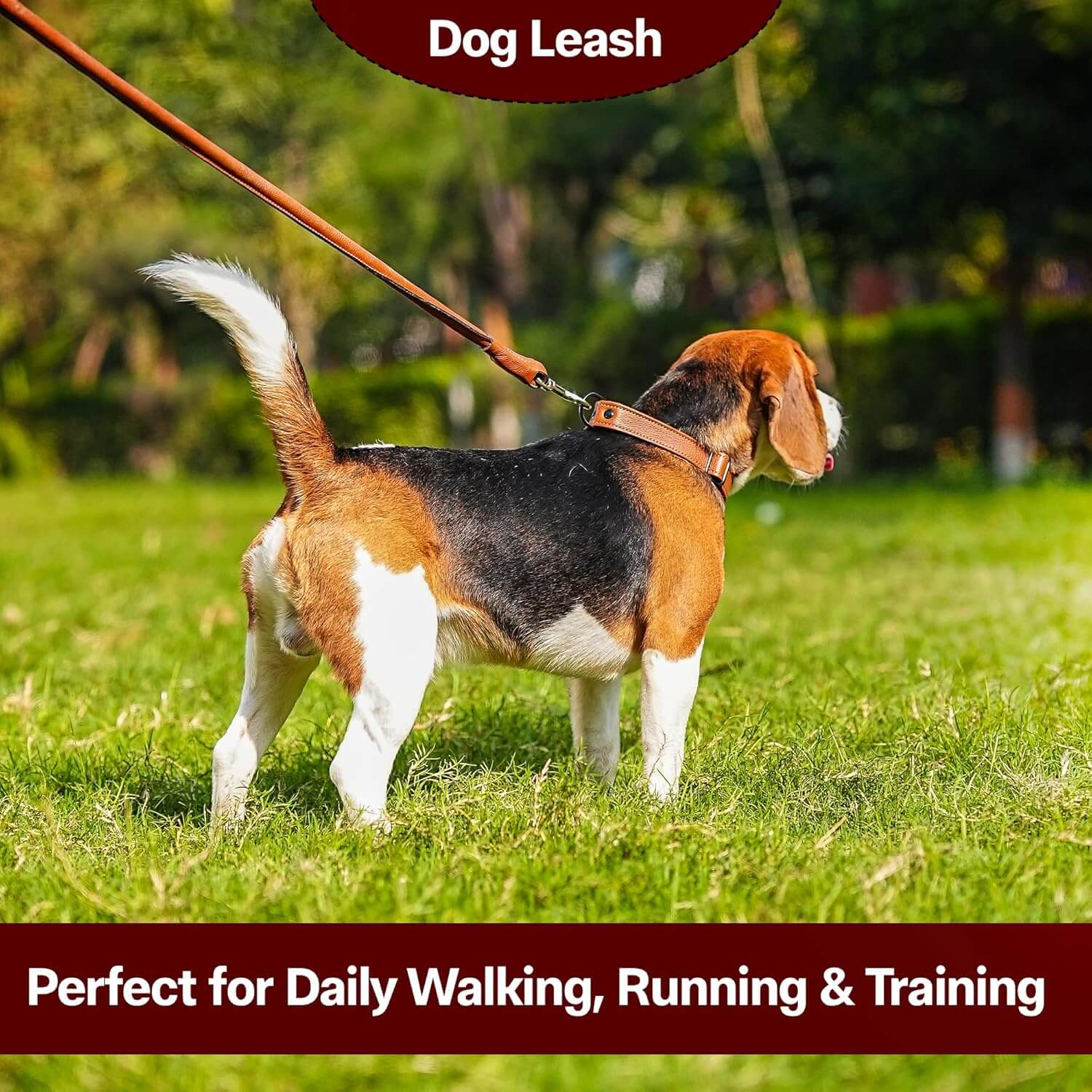 Adil’S Premium Rolled NDM Softy Leather Dog Leashes - 5 Feet Length