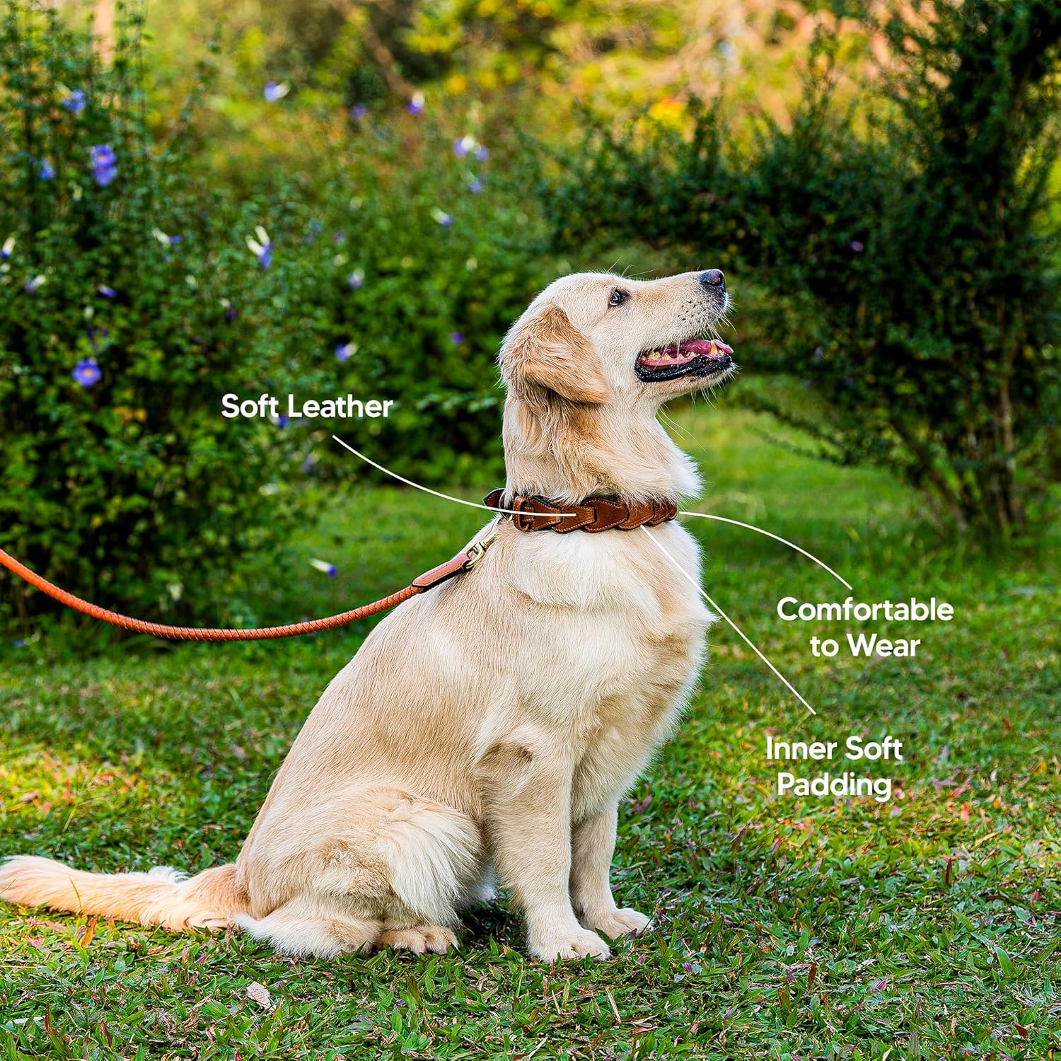 Adil’S Genuine Leather Loop Dog Collar – Handmade, Heavy-Duty, Soft Padded & Adjustable – Durable Braided Leather Collar Dogs