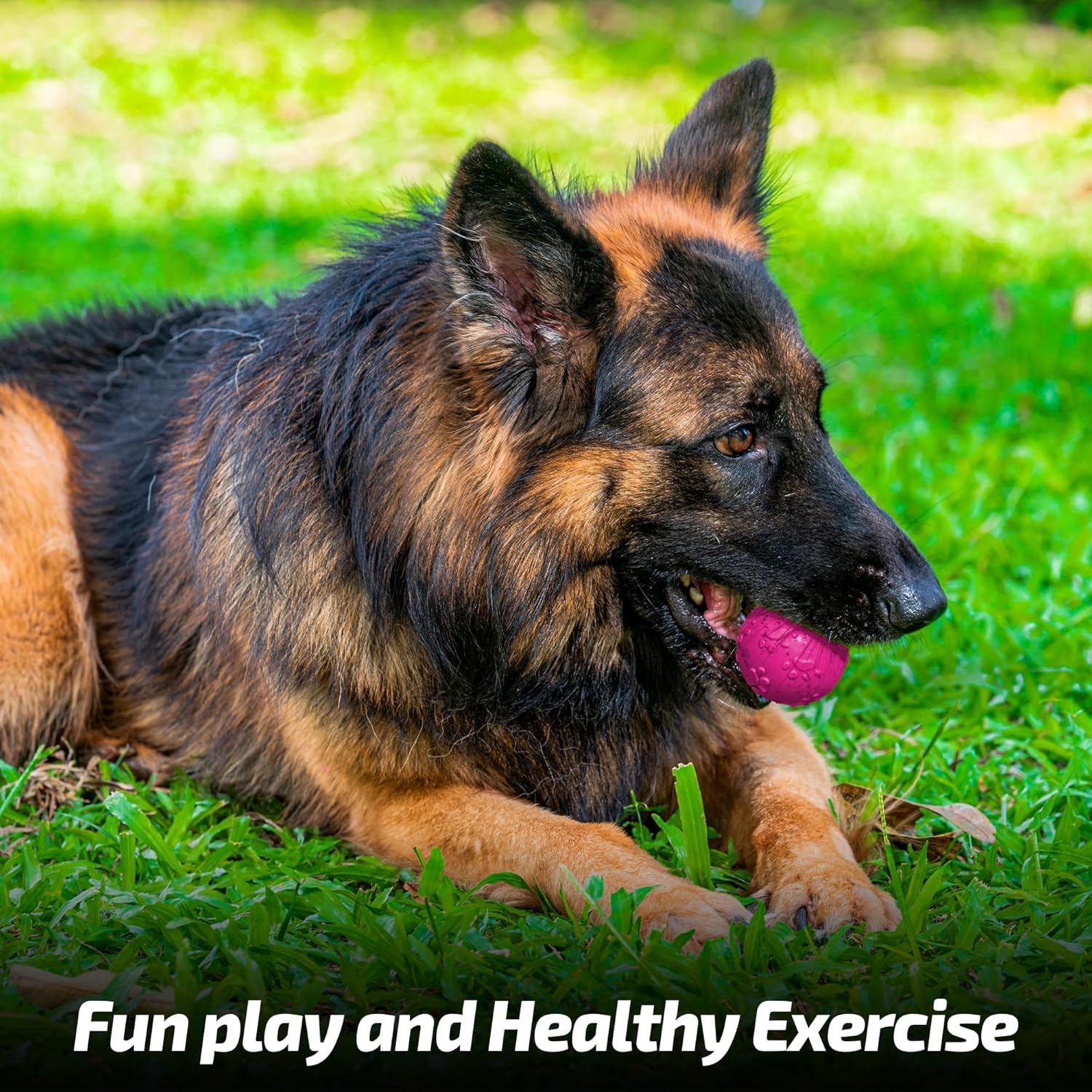 ADIL'S Natural Latex Dog Chews Ball Toy for Small to Medium Dogs & Puppies