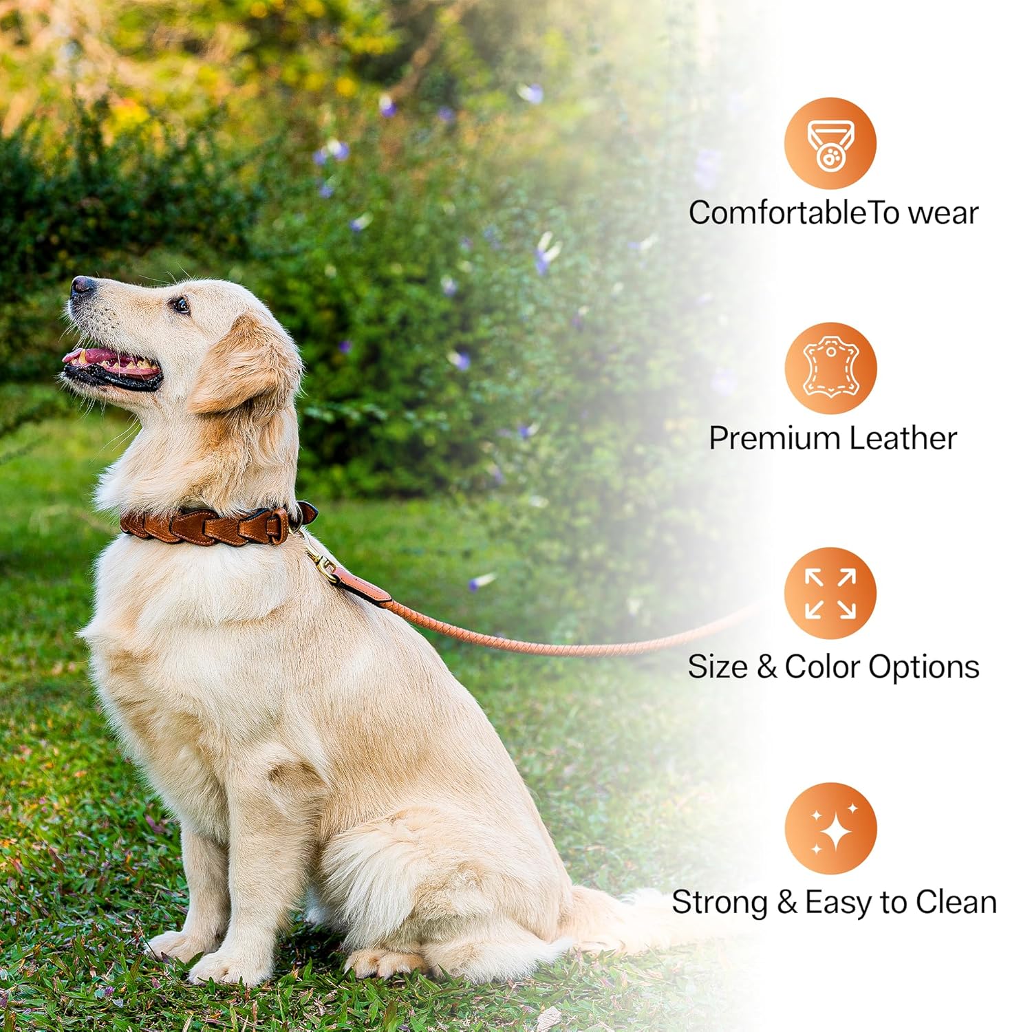 Adil’S Genuine Leather Loop Dog Collar – Handmade, Heavy-Duty, Soft Padded & Adjustable – Durable Braided Leather Collar Dogs