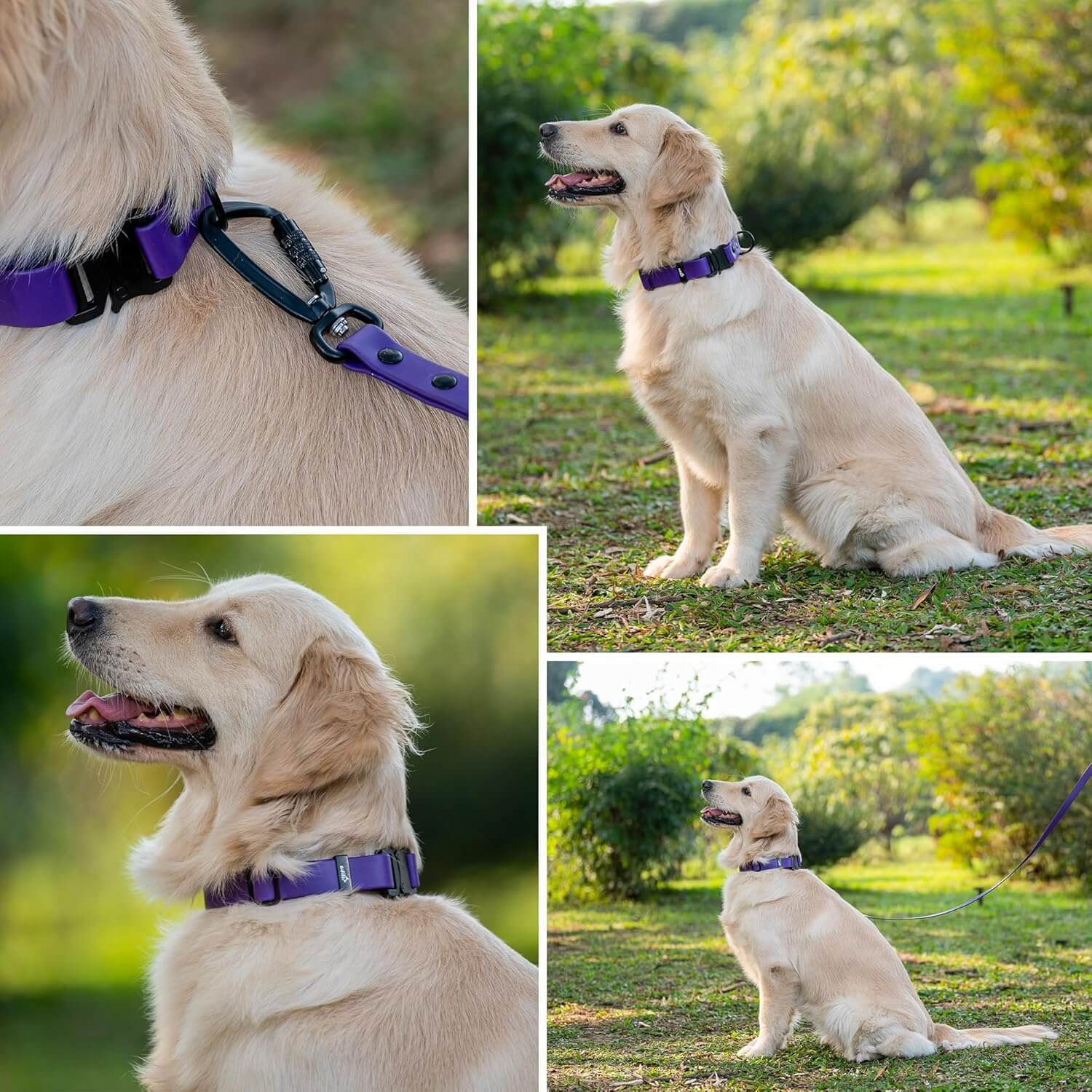 Biothane Combo Dog Collar & Leash