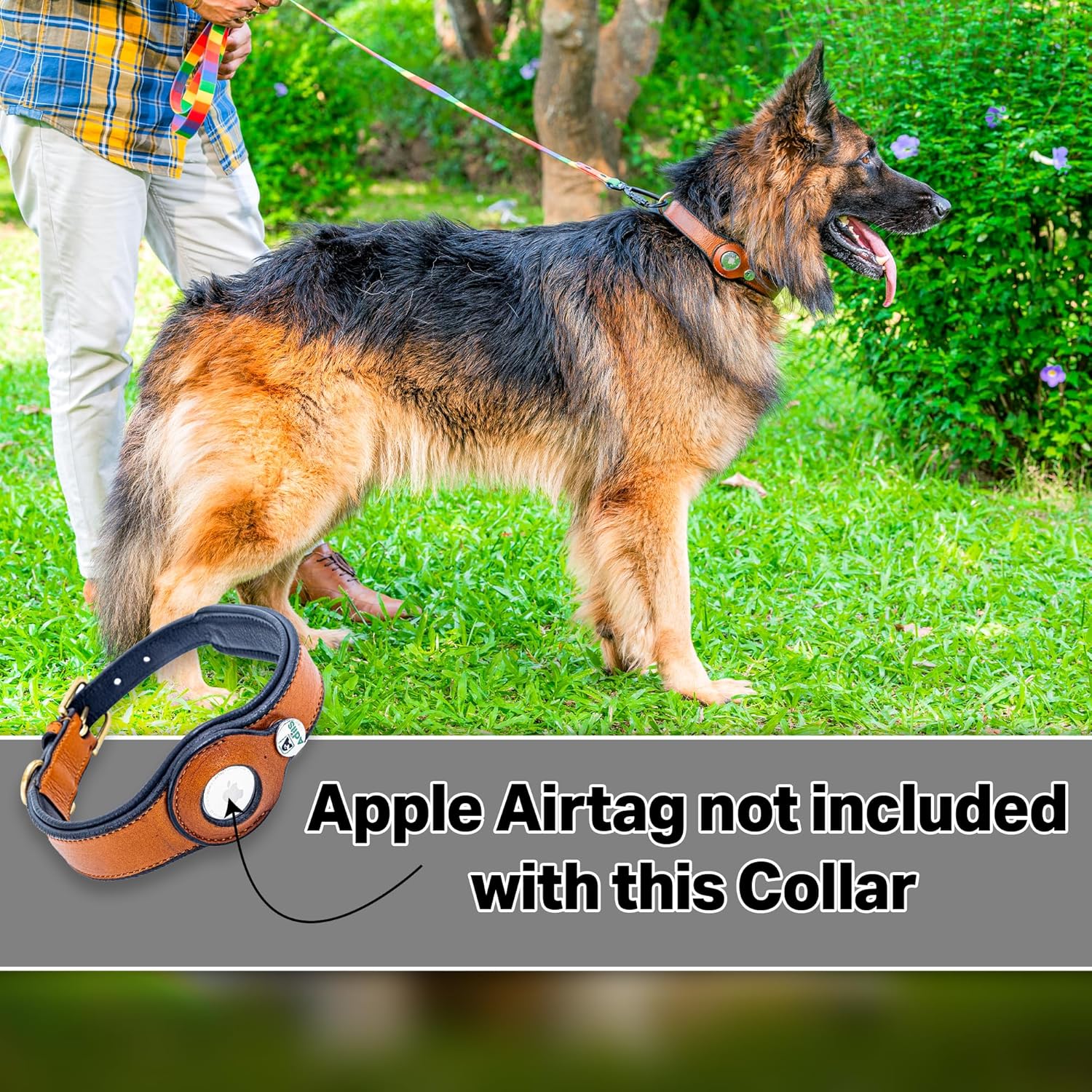 Adil’s AirTag Dog Collar – Genuine Leather with Secure Apple AirTag Holder