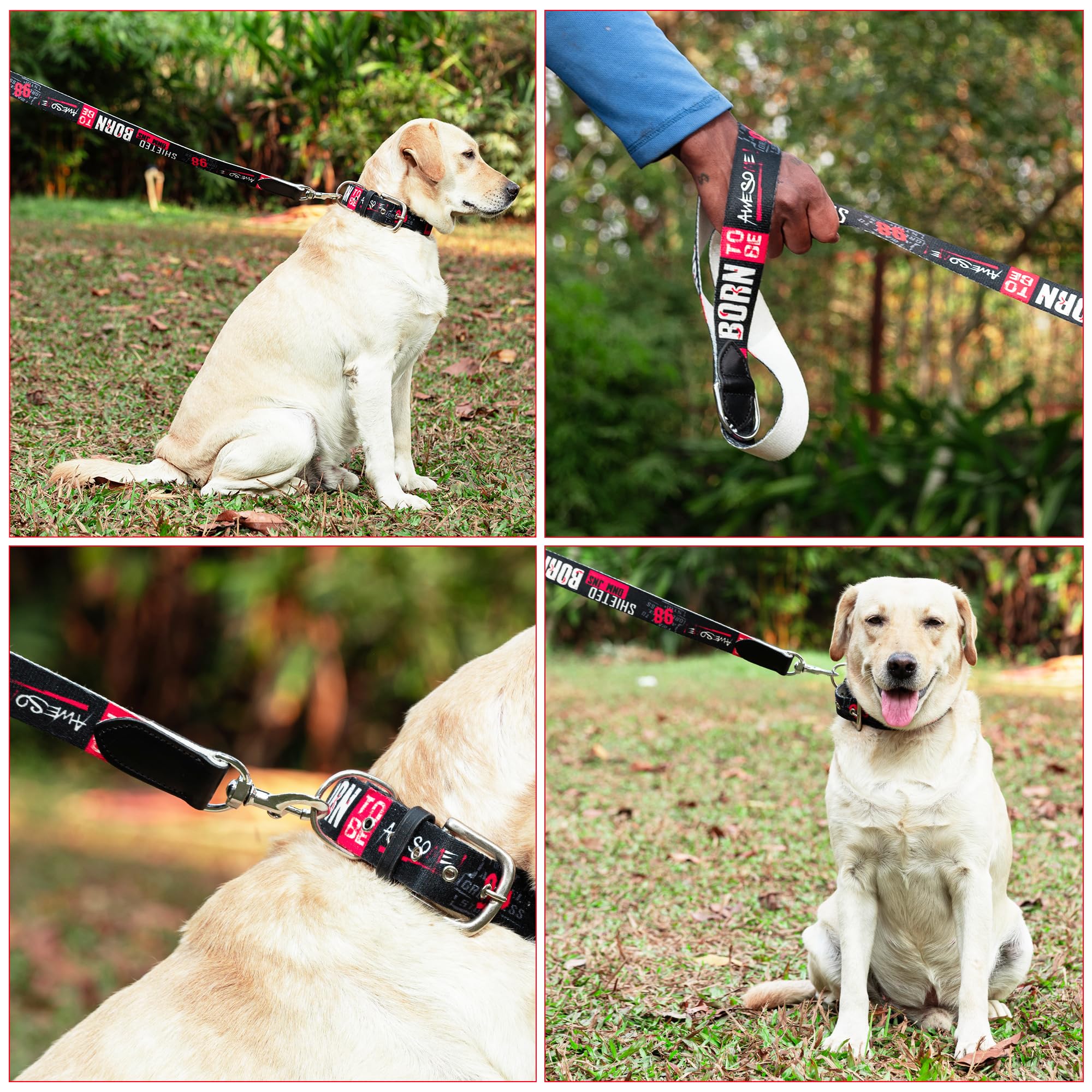 ADIL's Handcrafted Cotton Dog Leash – Premium Graffiti Printed Webbing Pet Walking Lead with Soft Loop Handle 360° Chrome Swivel Hook Strong Metallic D-Ring for Small Medium Large Dogs, 5ft