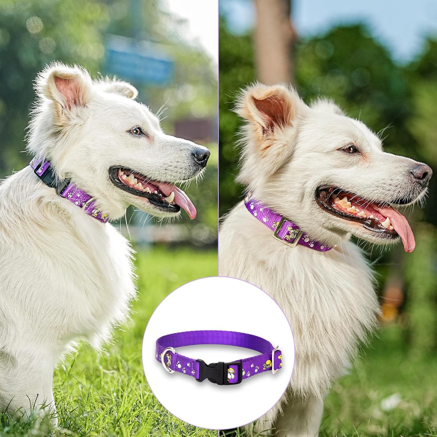 Adil’S Nylon Paw Print Dog Collar with Adjustable Quick Release Buckle & D-Ring for Leashes, 0.75in Width, Suitable for Small to Large Dogs, Size: XS, Green