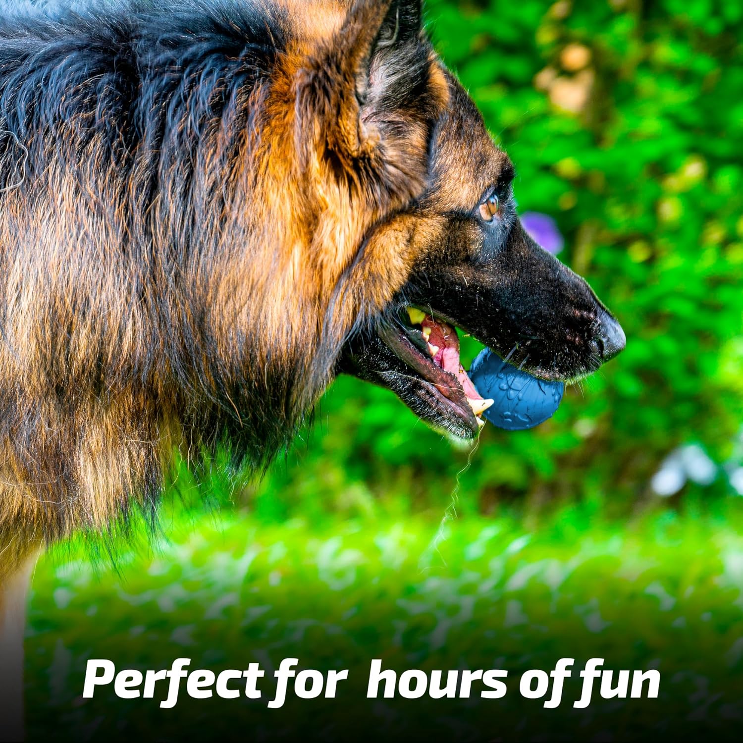 ADIL'S Natural Latex Dog Chews Ball Toy for Small to Medium Dogs & Puppies