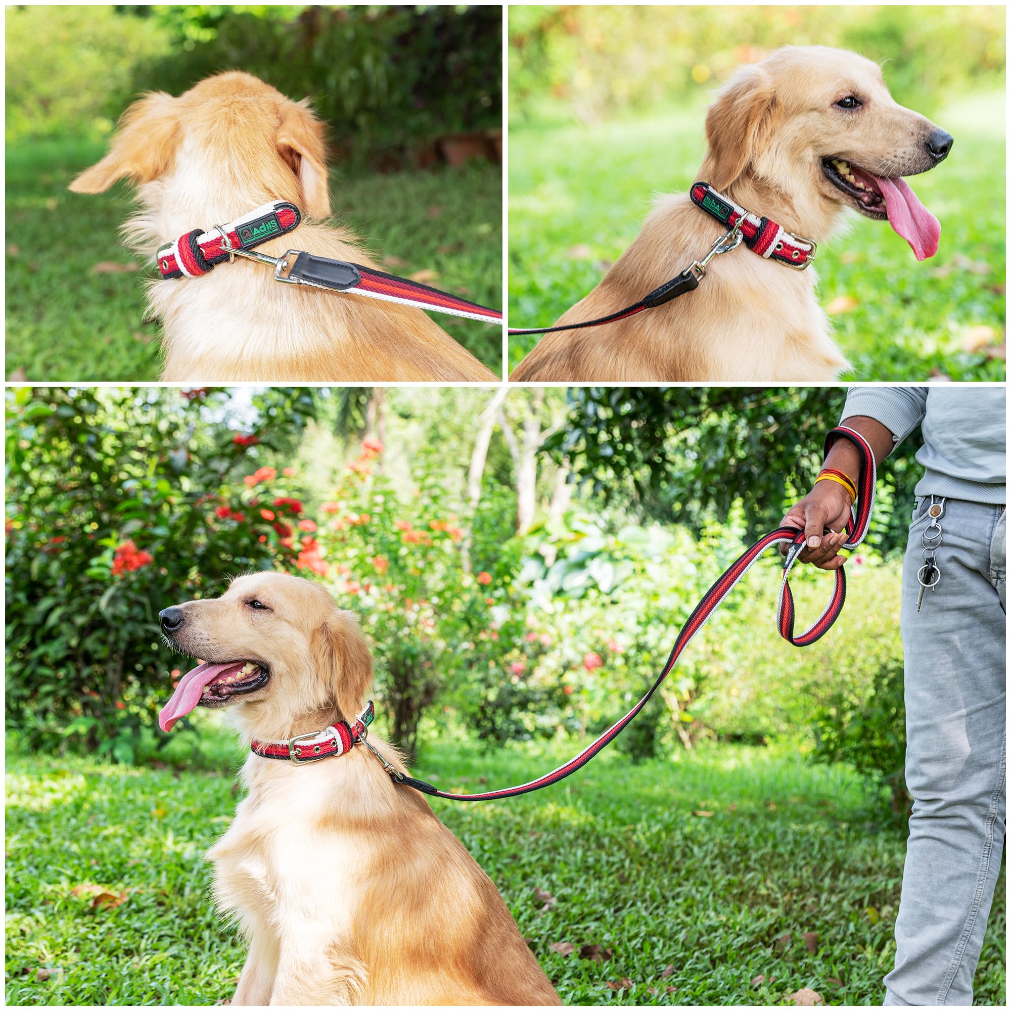 Adil’s Multi Color Cotton Dog Leash – Durable High-Density Cotton with Metal Clasp, 5 Ft Leash for Small, Medium & Large Dogs – Comfortable & Strong Pet Walking Leash