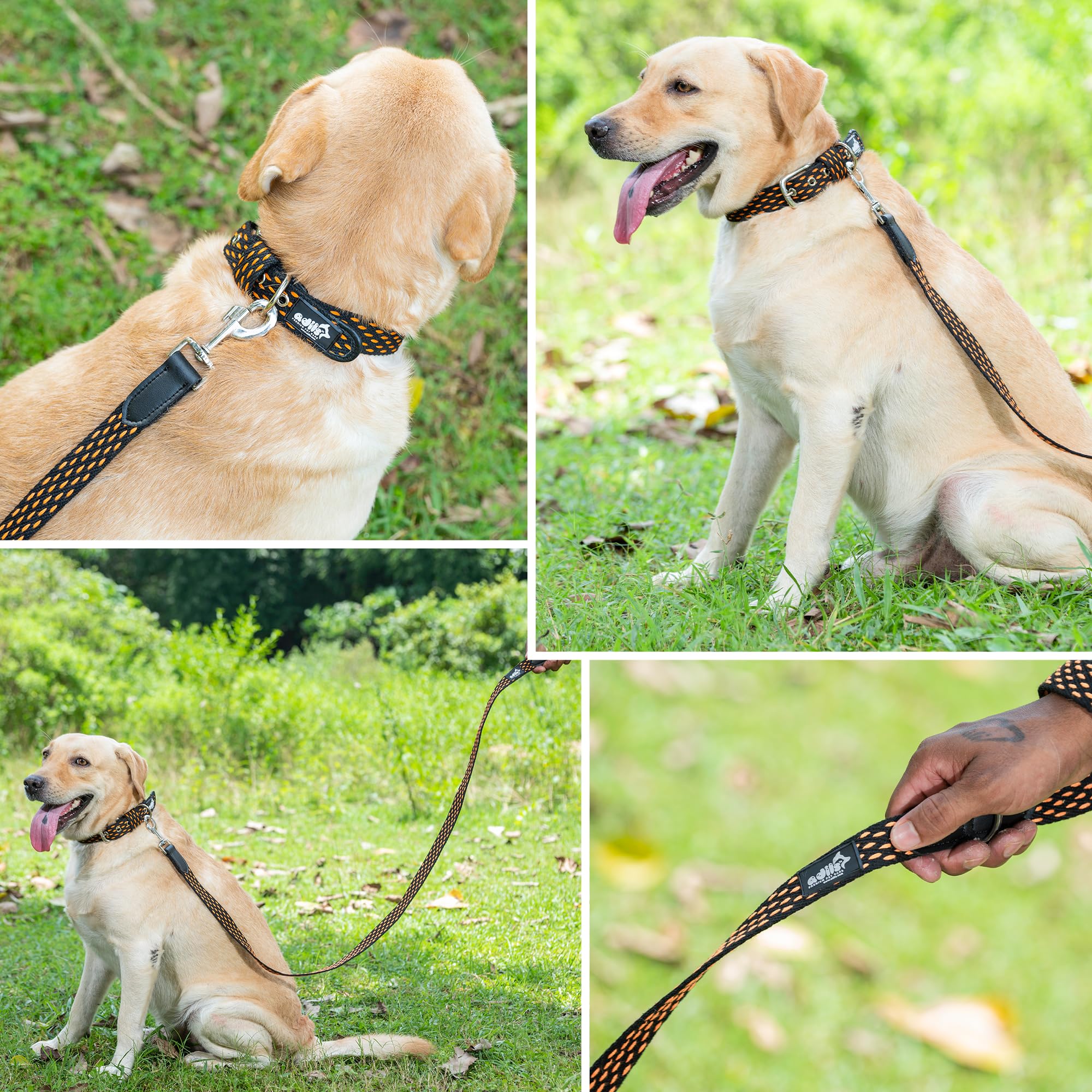 Adil’s 5ft Cotton Dotted Dog Leash with Leather Grip & 360° Swivel Hook – Durable, Comfy & Tangle-Free for All Dog Sizes
