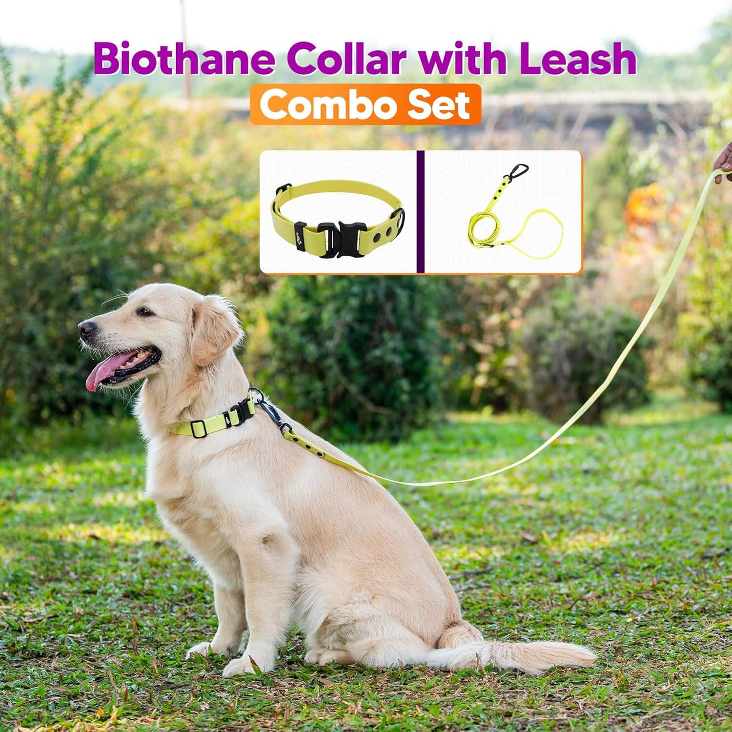 Biothane Combo Dog Collar & Leash