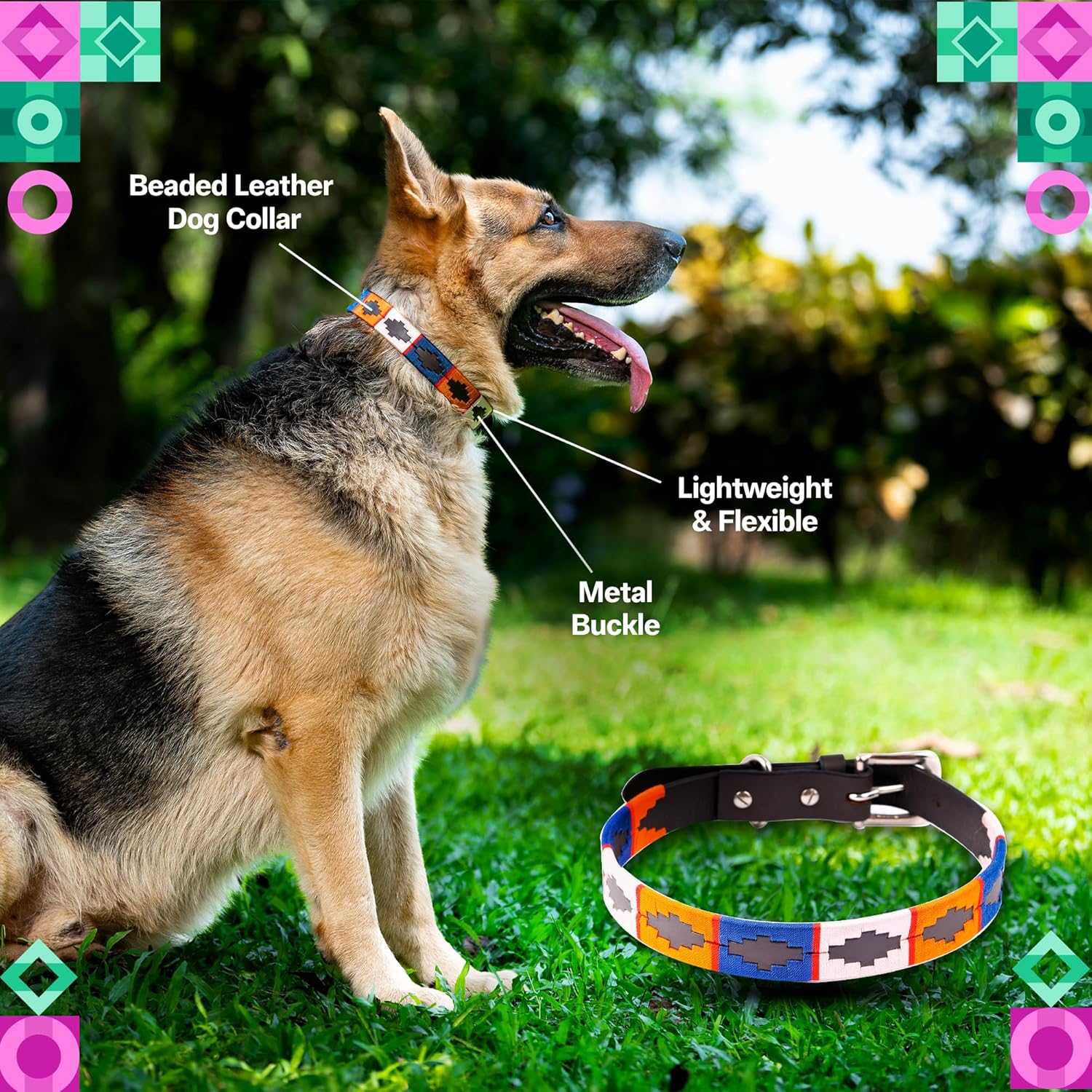 Adil's Multi-Color Leather Polo Dog Collar with Metal Buckle – 1 Inch Wide