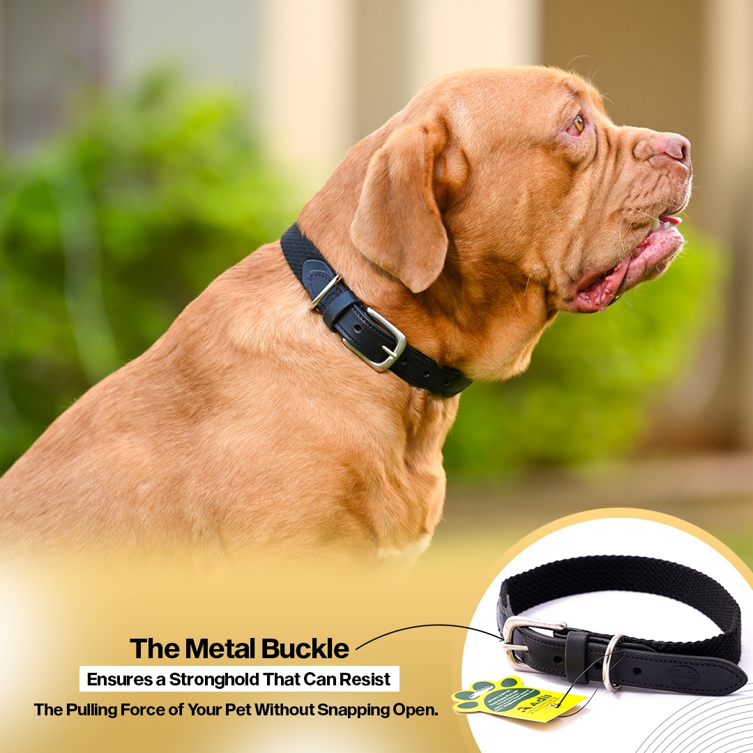 Adil's Plain Cotton with Leather Dog Collar With Adjustable Collar