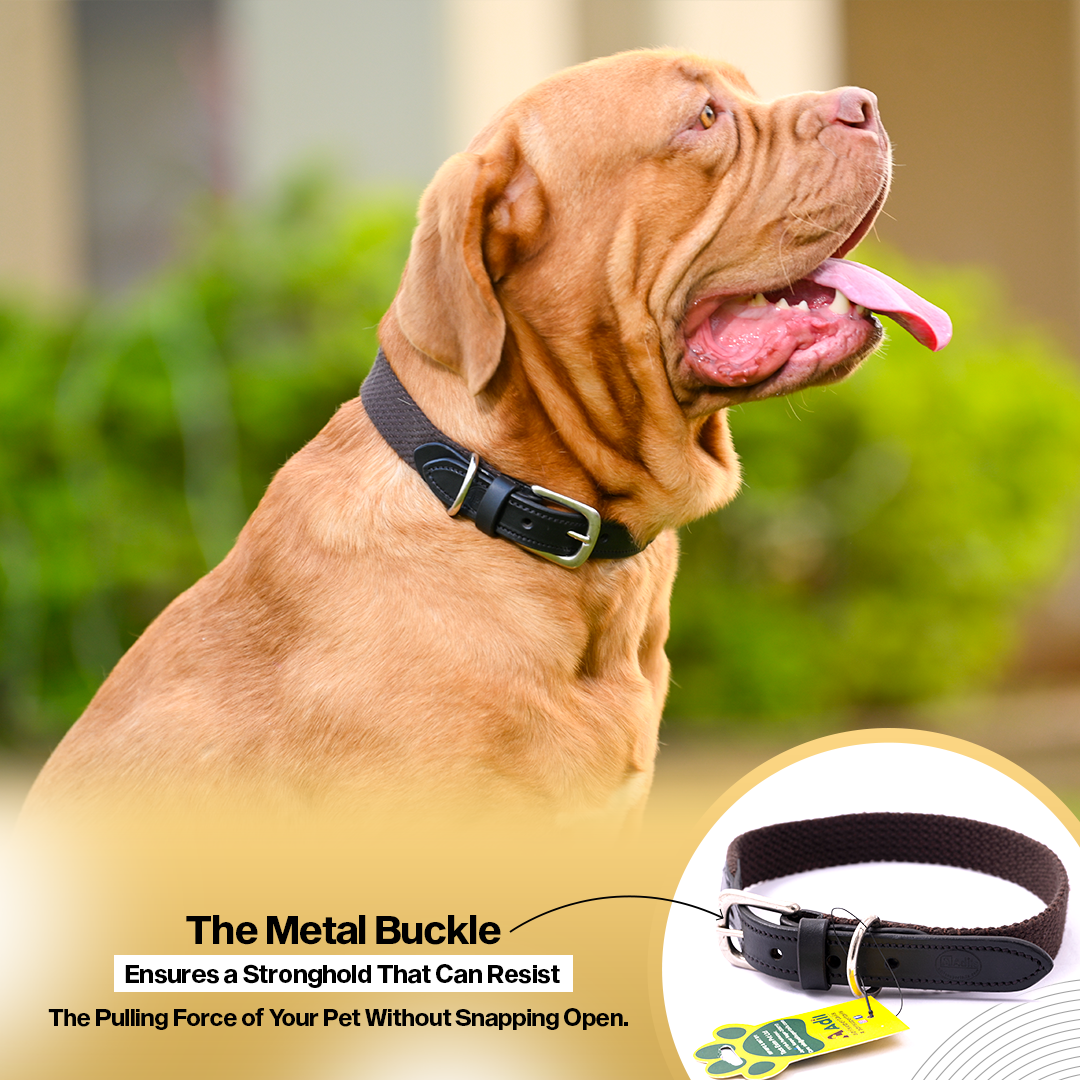 Adil's Plain Cotton with Leather Dog Collar With Adjustable Collar