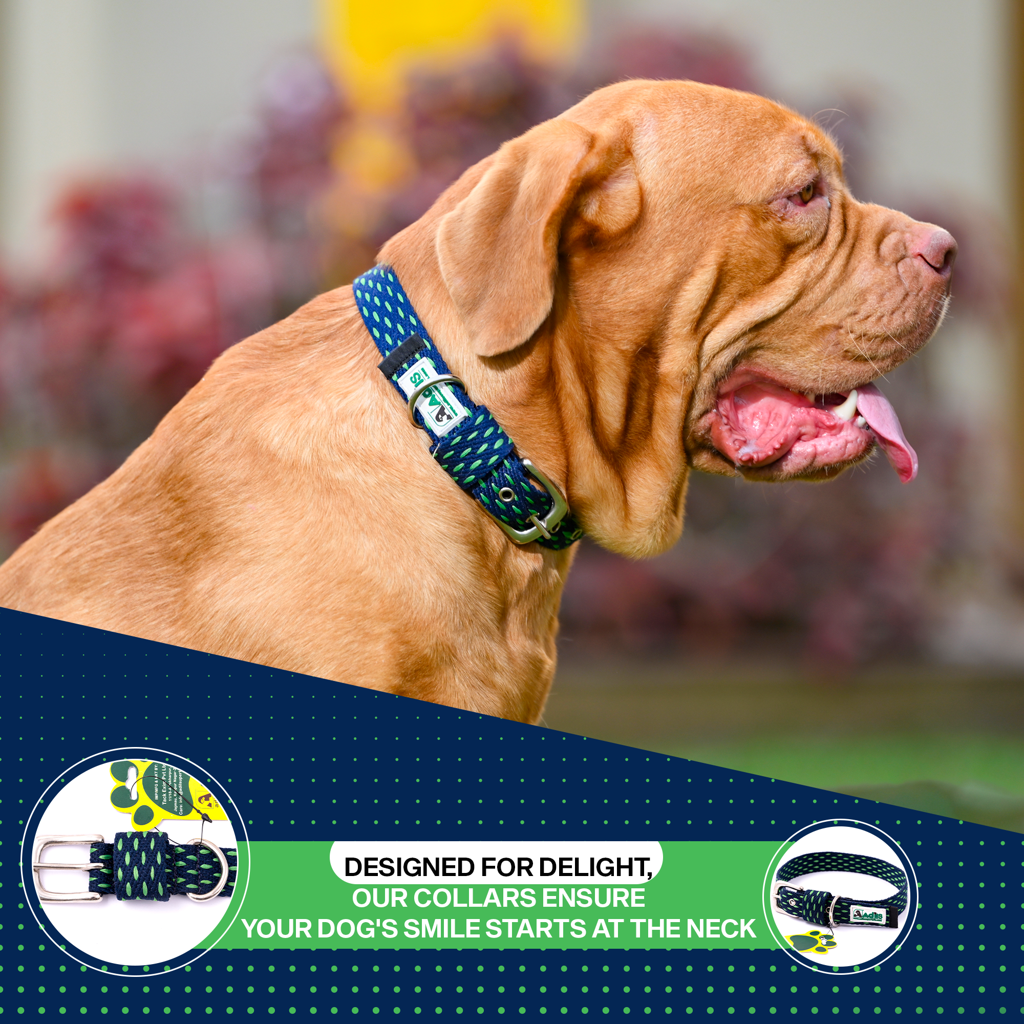 Adjustable Cotton Dotted Dog Collar