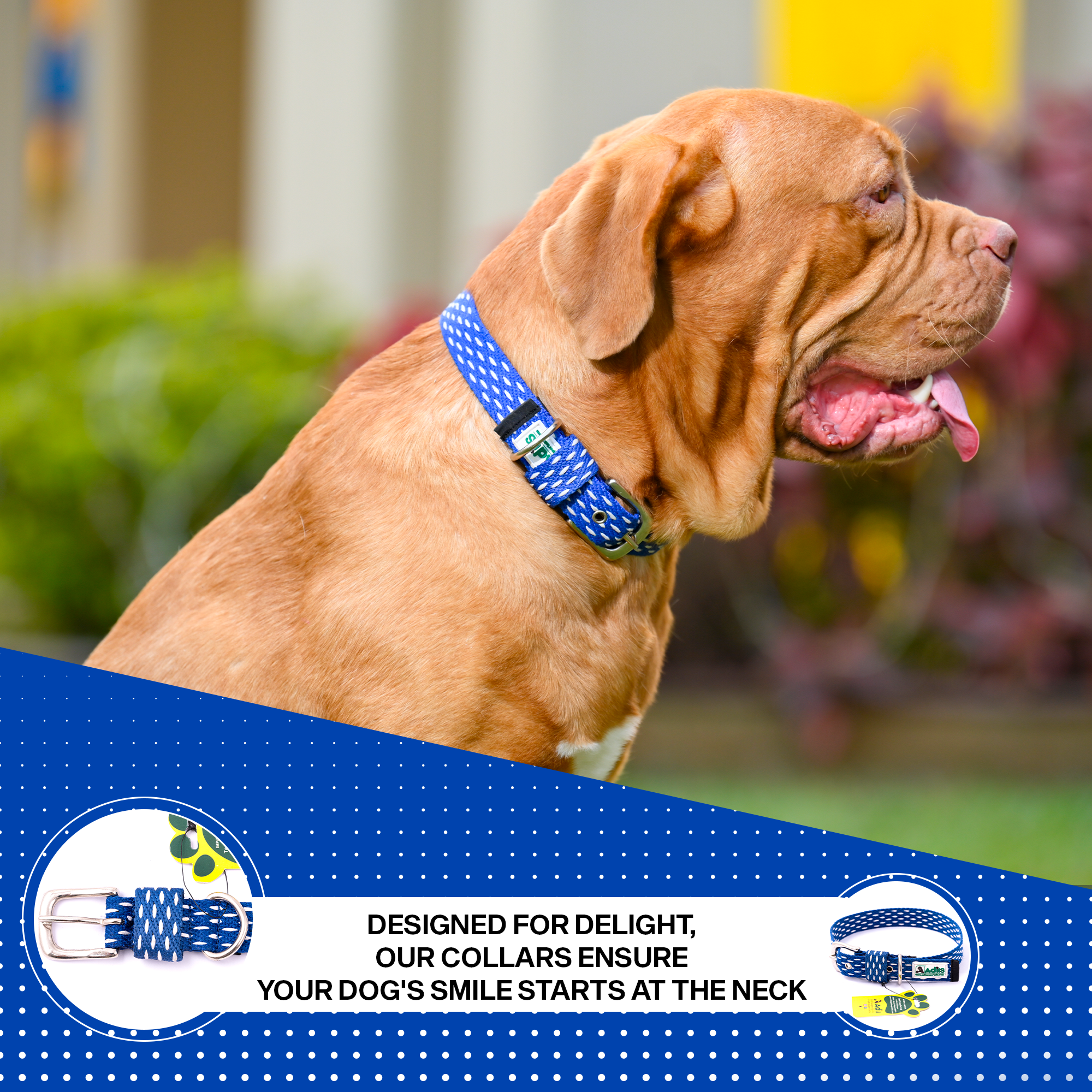 Adjustable Cotton Dotted Dog Collar