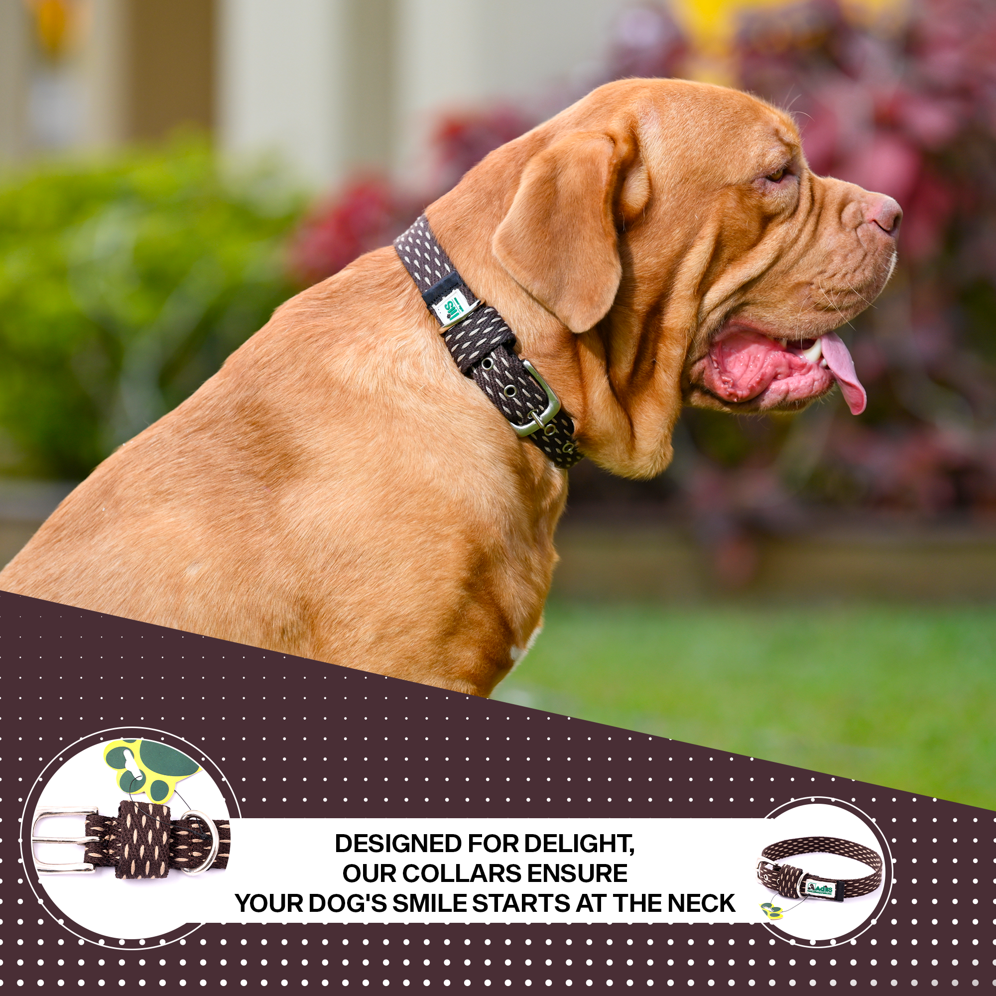 Adjustable Cotton Dotted Dog Collar