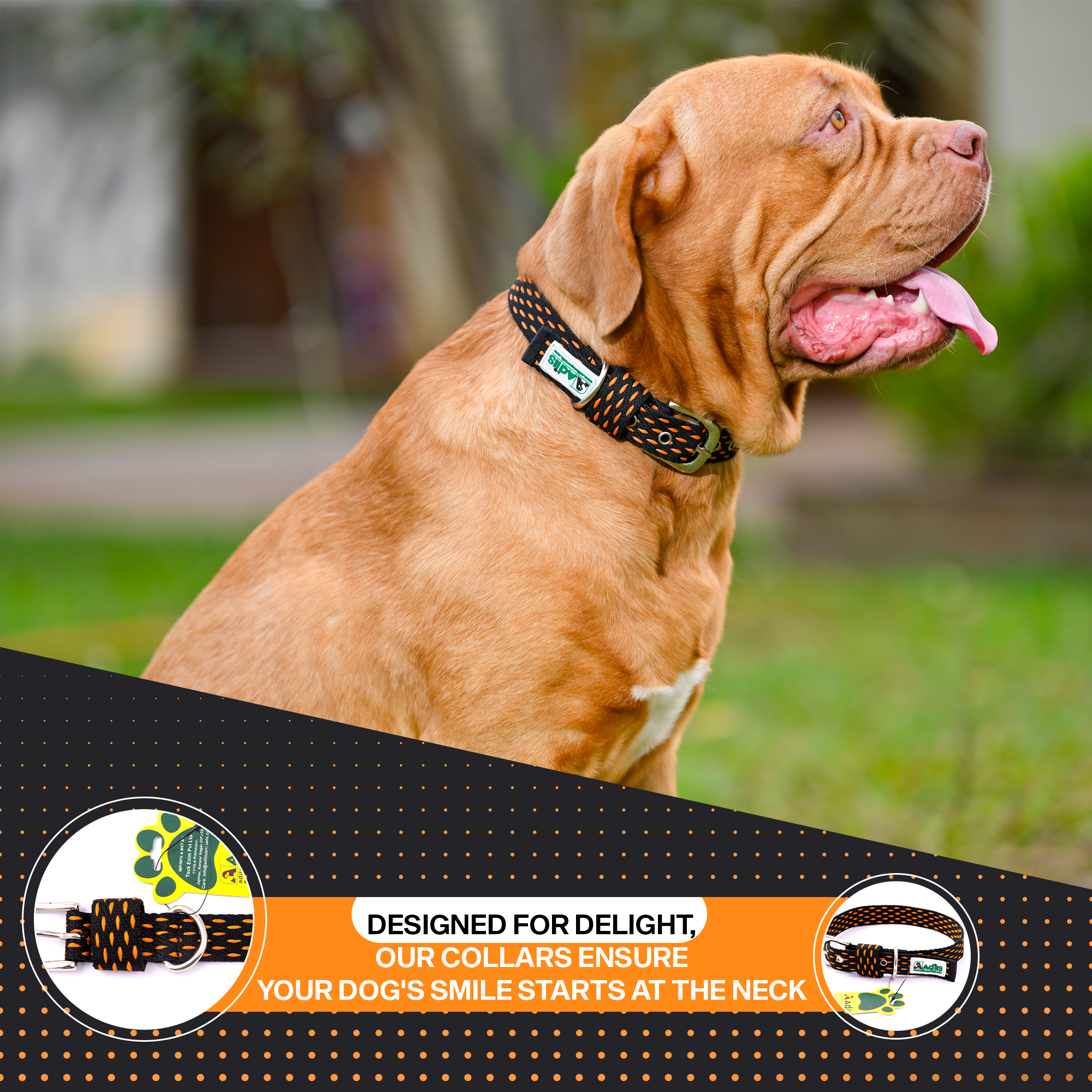 Adjustable Cotton Dotted Dog Collar