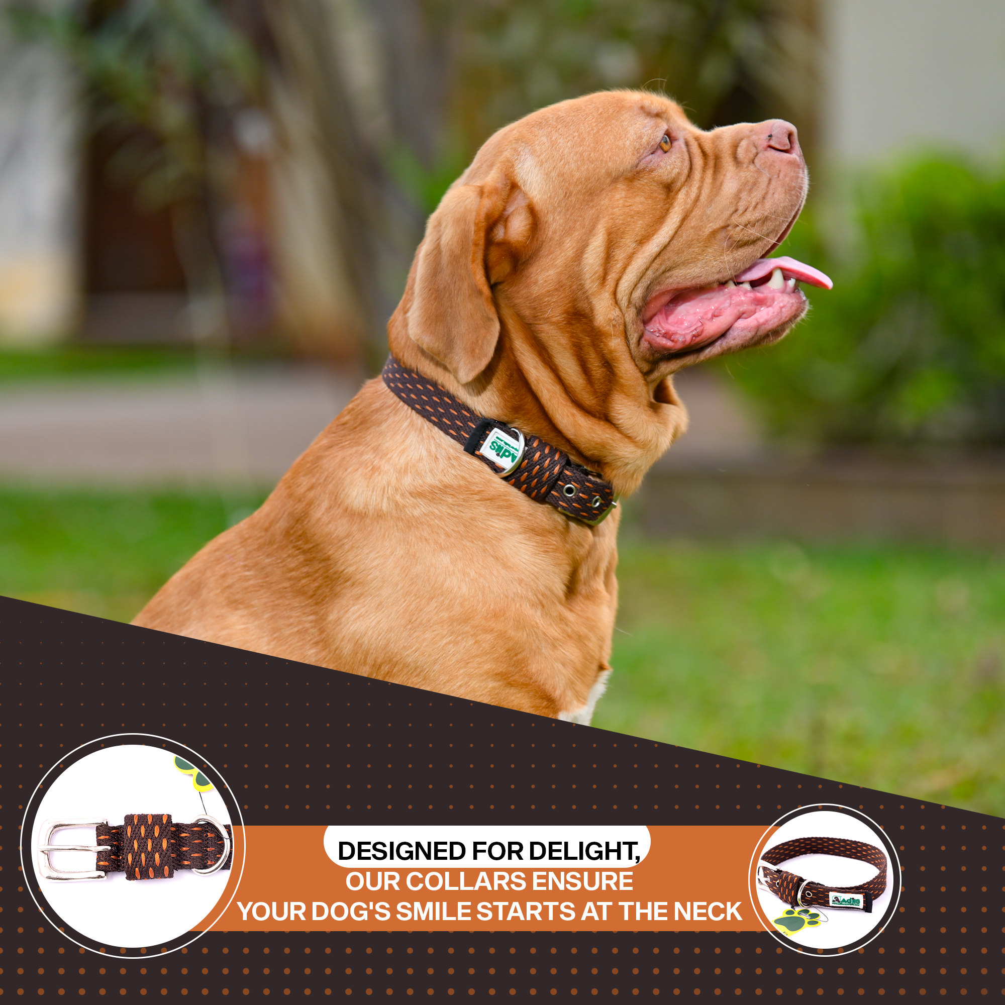 Adjustable Cotton Dotted Dog Collar