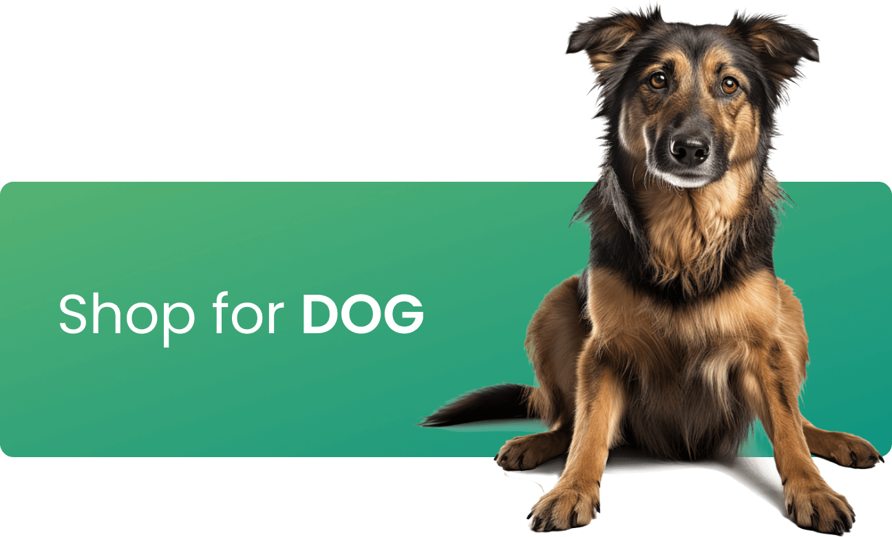 Adils- Buy Online Pet Supplies | Premium Pet care Products