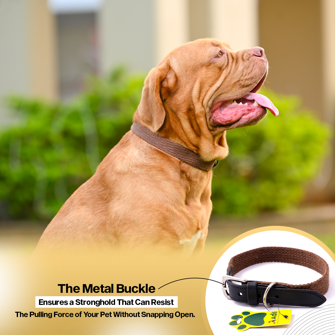 Adil's Plain Cotton with Leather Dog Collar With Adjustable Collar