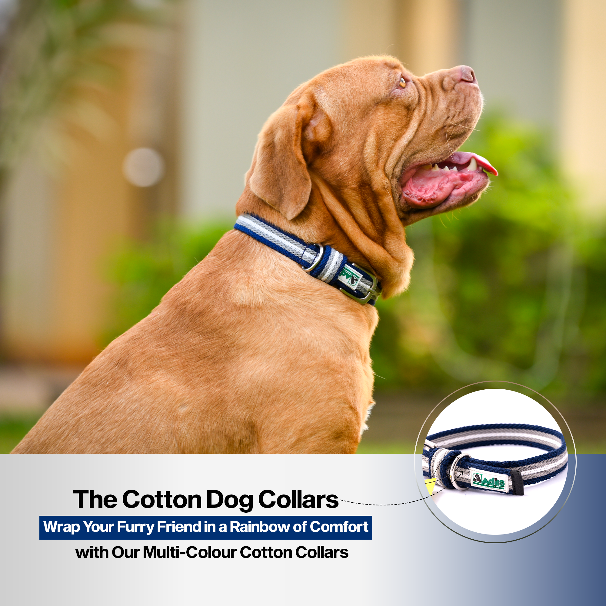 Adil's Multi-Color Cotton Dog Collars – Adjustable Collar with Metal Buckle & D-Ring (1 Inch Wide)