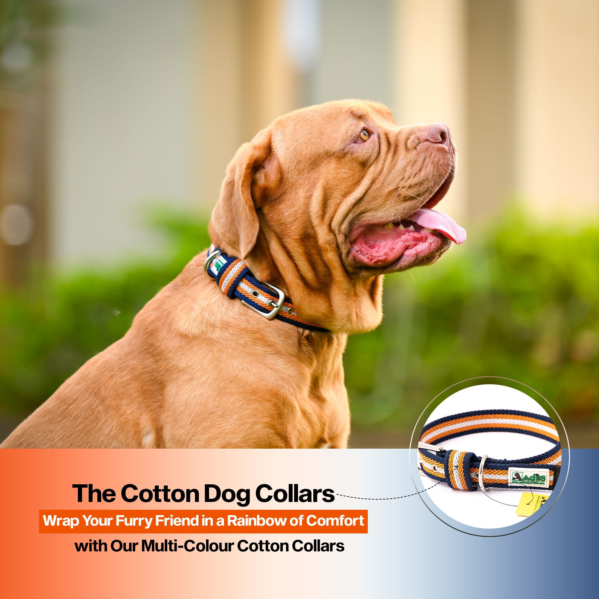 Adil's Multi-Color Cotton Dog Collars – Adjustable Collar with Metal Buckle & D-Ring (1 Inch Wide)