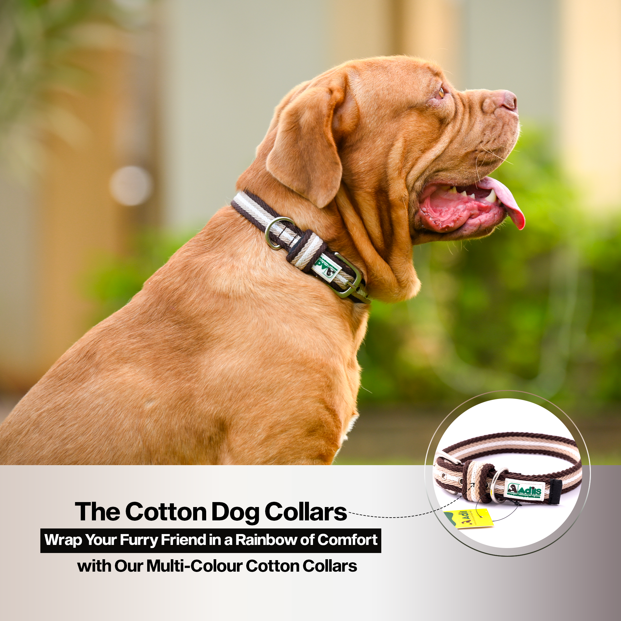 Adil's Multi-Color Cotton Dog Collars – Adjustable Collar with Metal Buckle & D-Ring (1 Inch Wide)