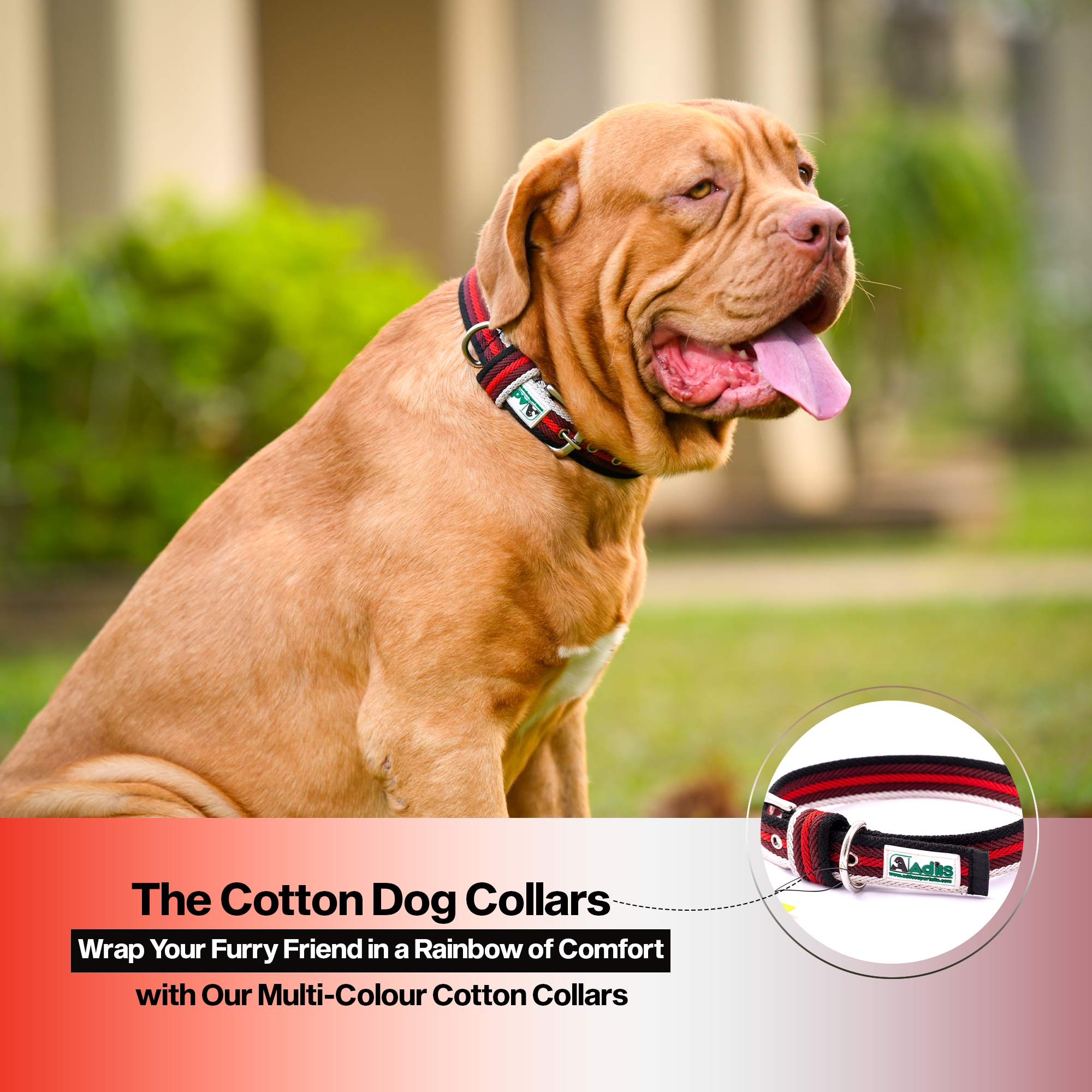 Adil's Multi-Color Cotton Dog Collars – Adjustable Collar with Metal Buckle & D-Ring (1 Inch Wide)
