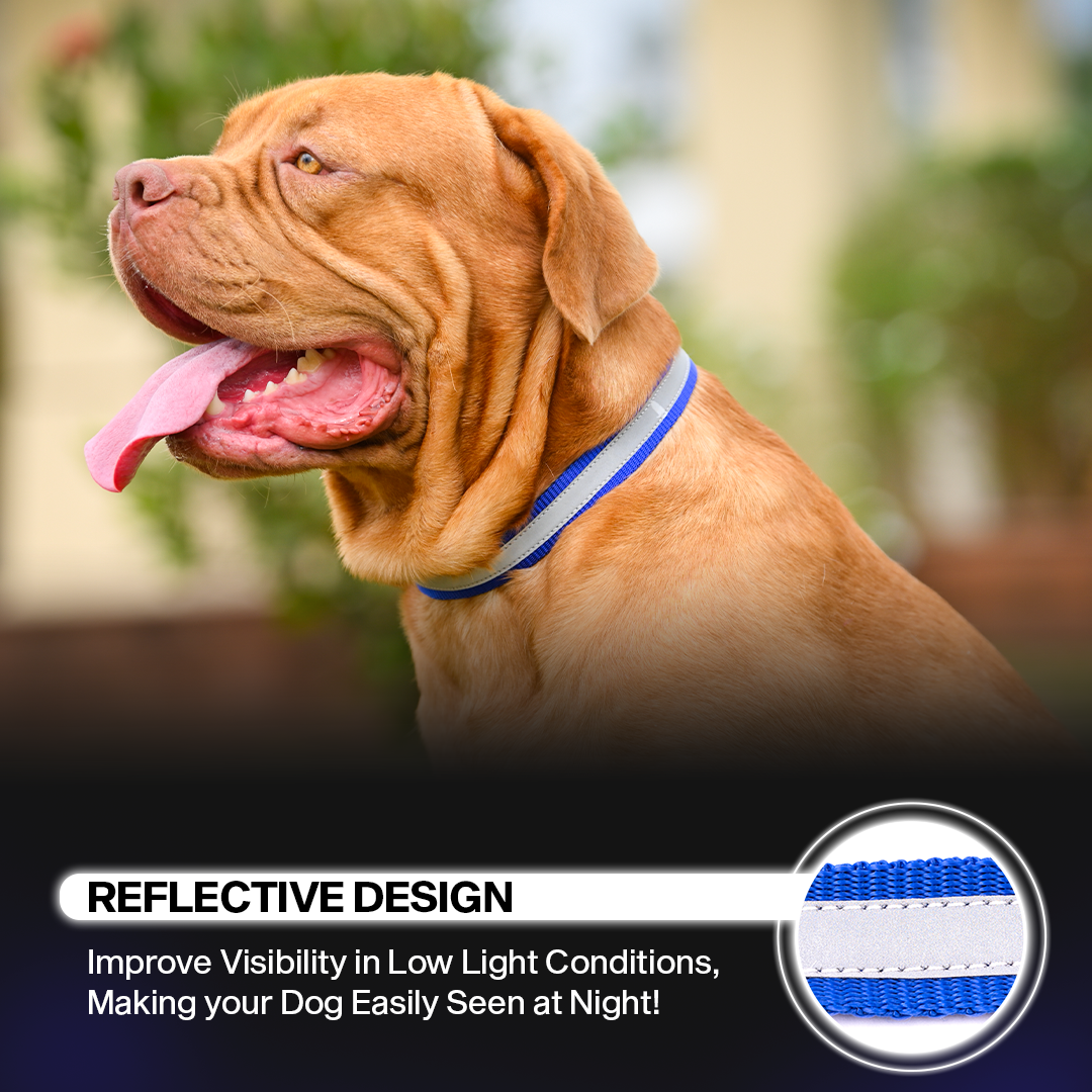 Adil's Reflective Nylon Dog Collar Adjustable Collar with Metal Buckle