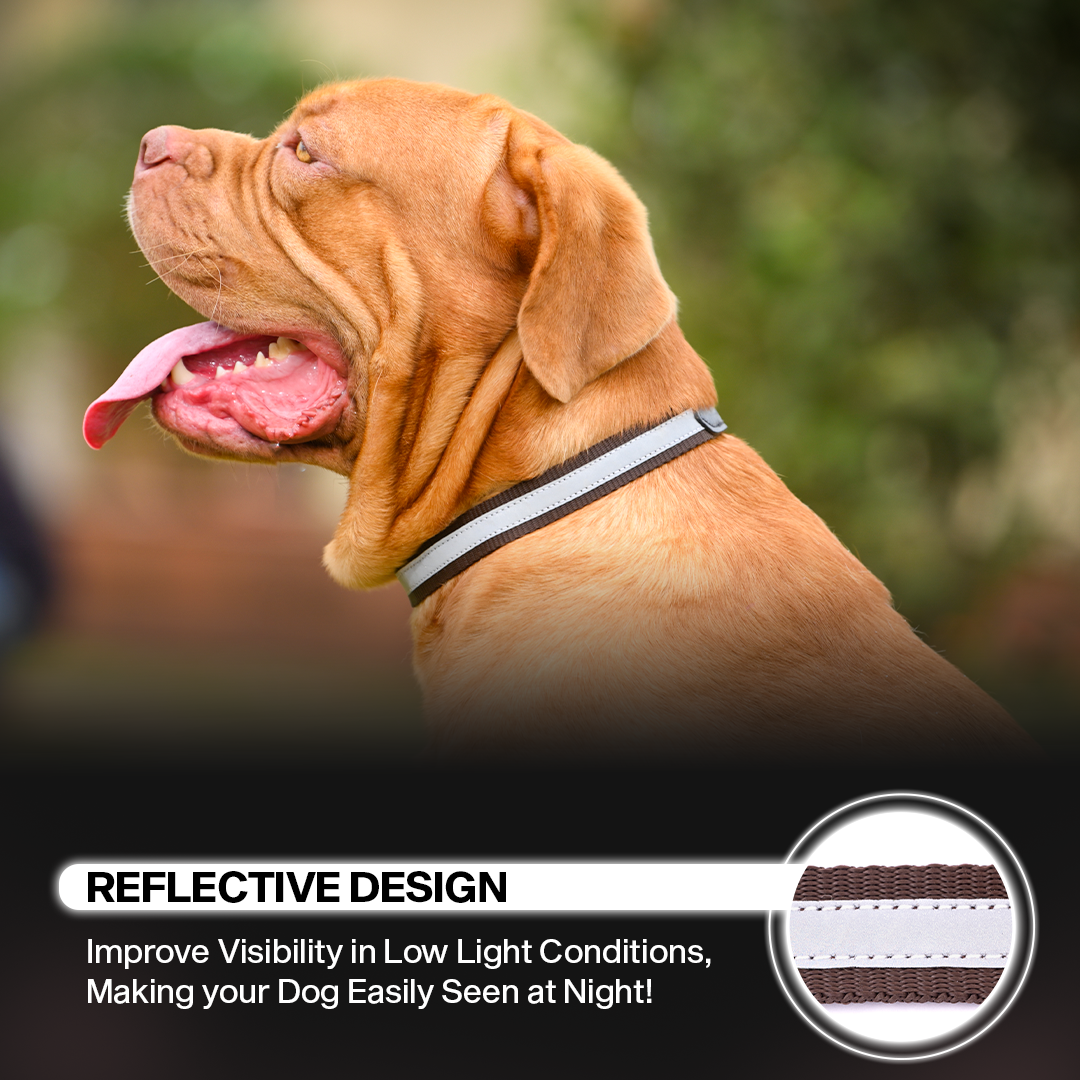 Adil's Reflective Nylon Dog Collar Adjustable Collar with Metal Buckle
