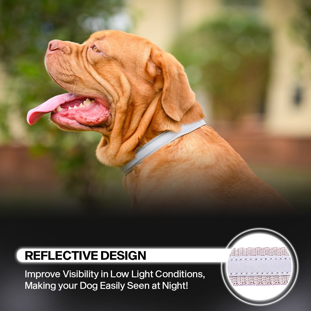 Adil's Reflective Nylon Dog Collar Adjustable Collar with Metal Buckle