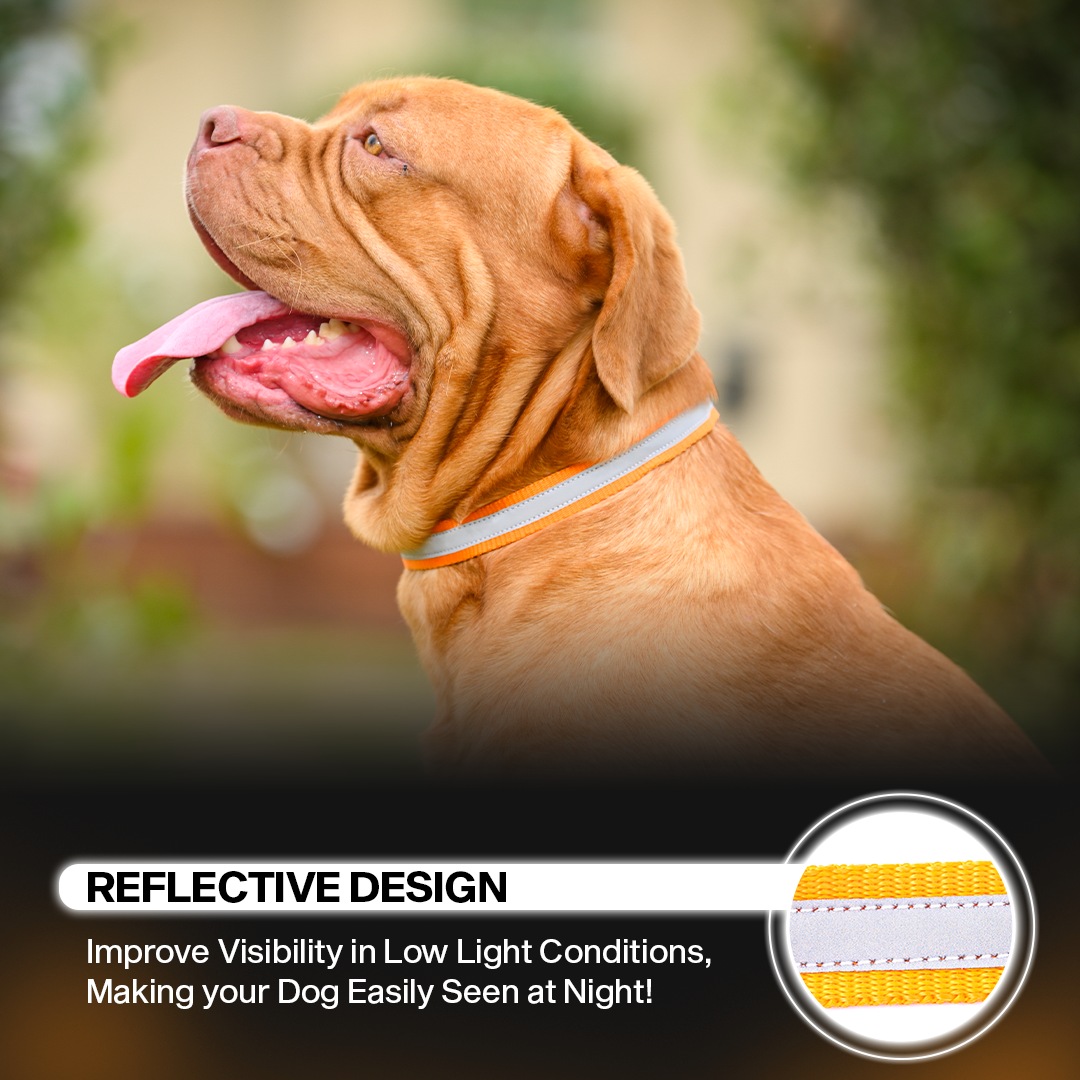 Adil's Reflective Nylon Dog Collar Adjustable Collar with Metal Buckle