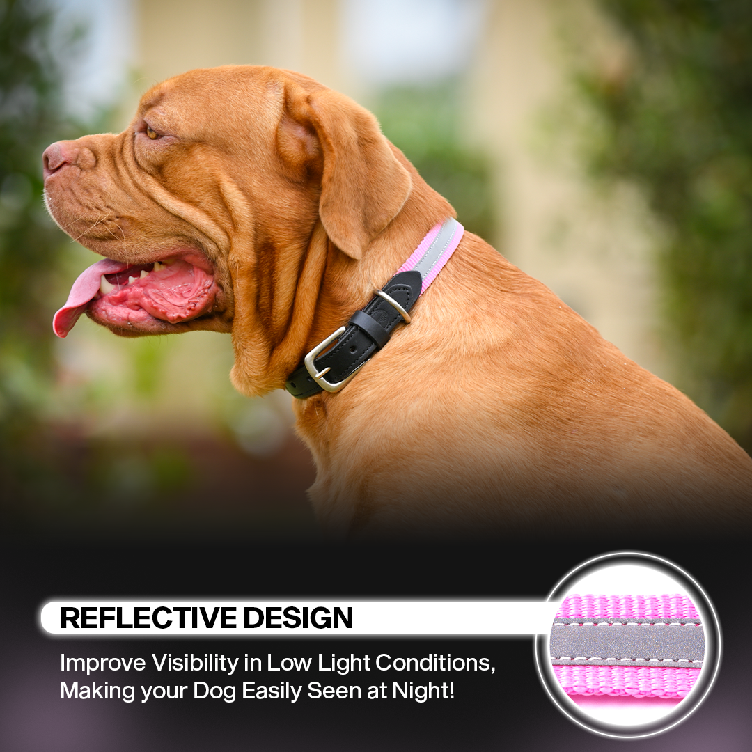 Adil's Reflective Nylon Dog Collar Adjustable Collar with Metal Buckle