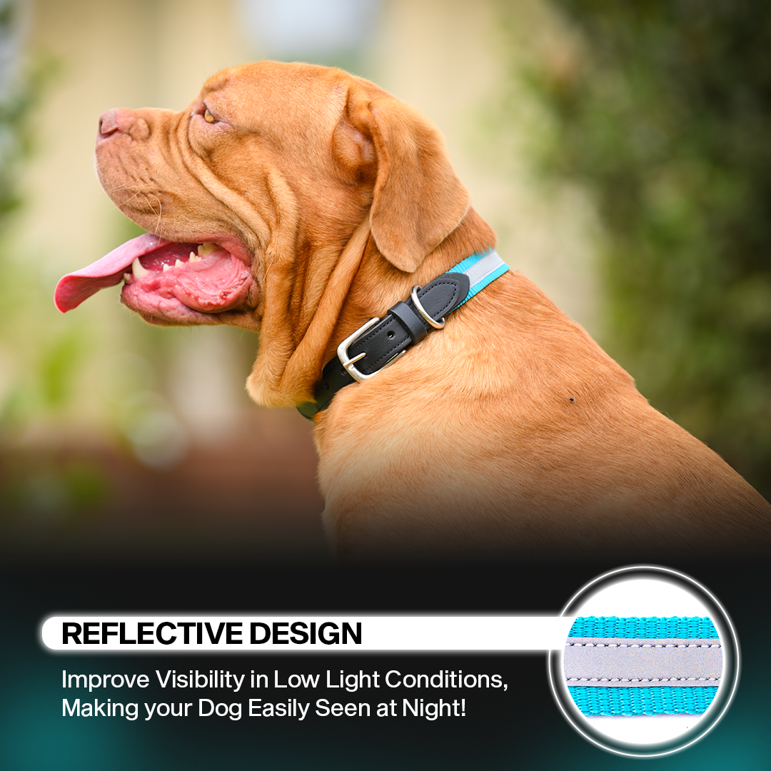 Adil's Reflective Nylon Dog Collar Adjustable Collar with Metal Buckle